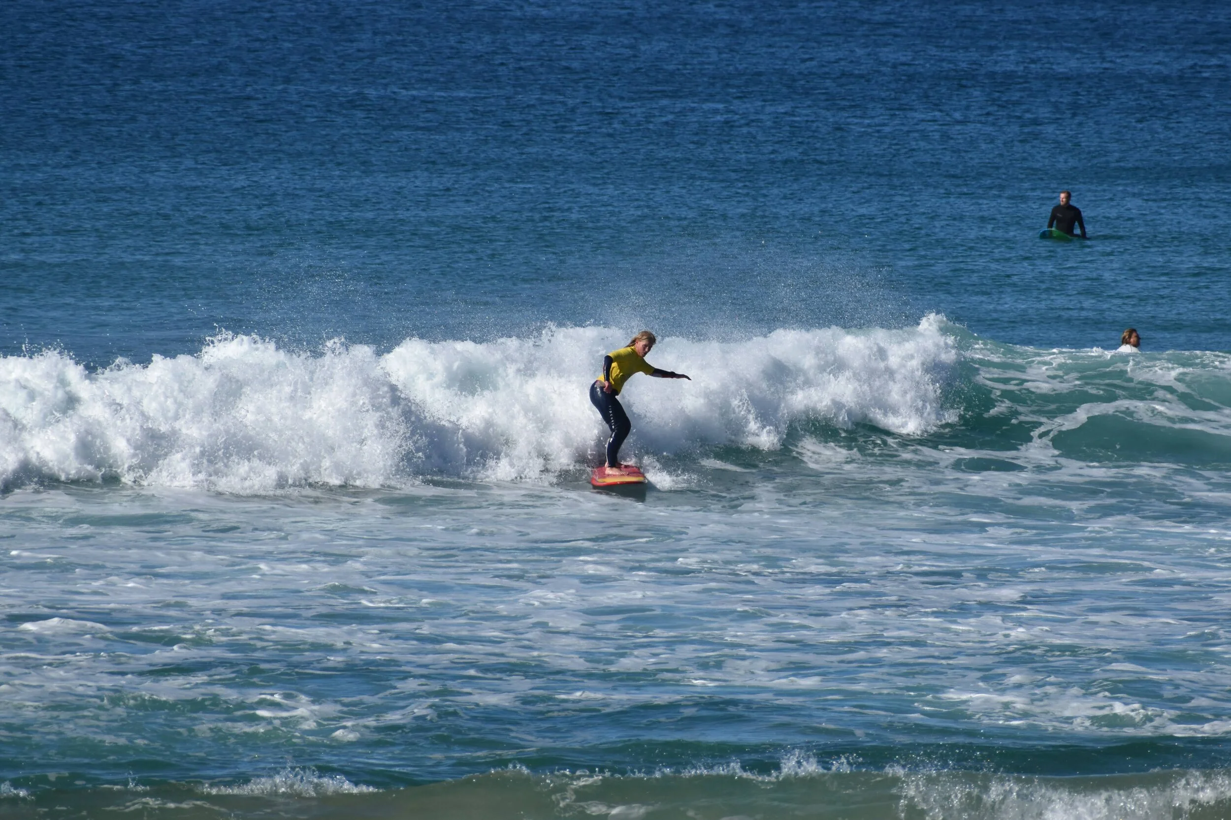 DSC_2004.jpg