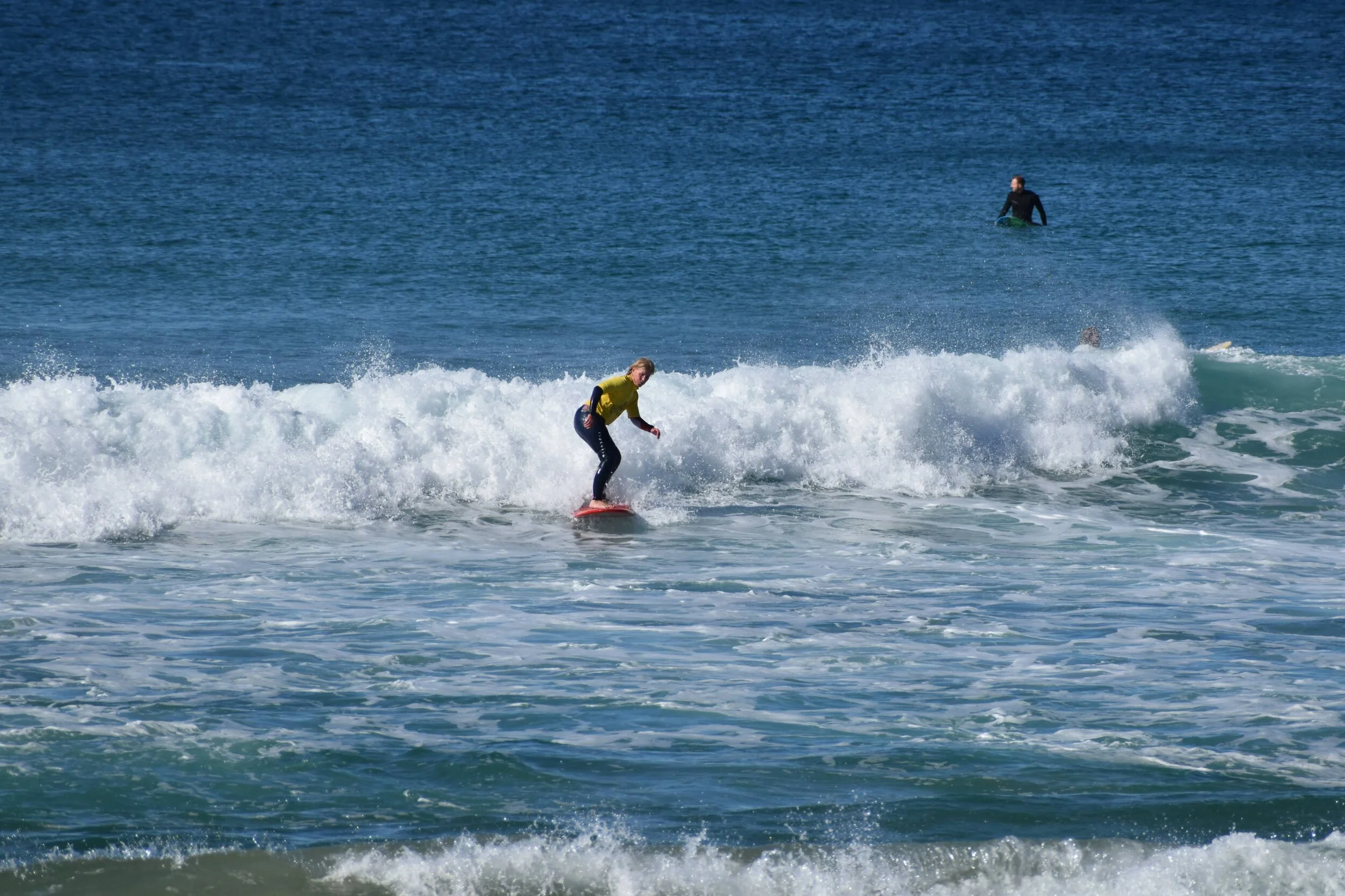 DSC_2005.jpg