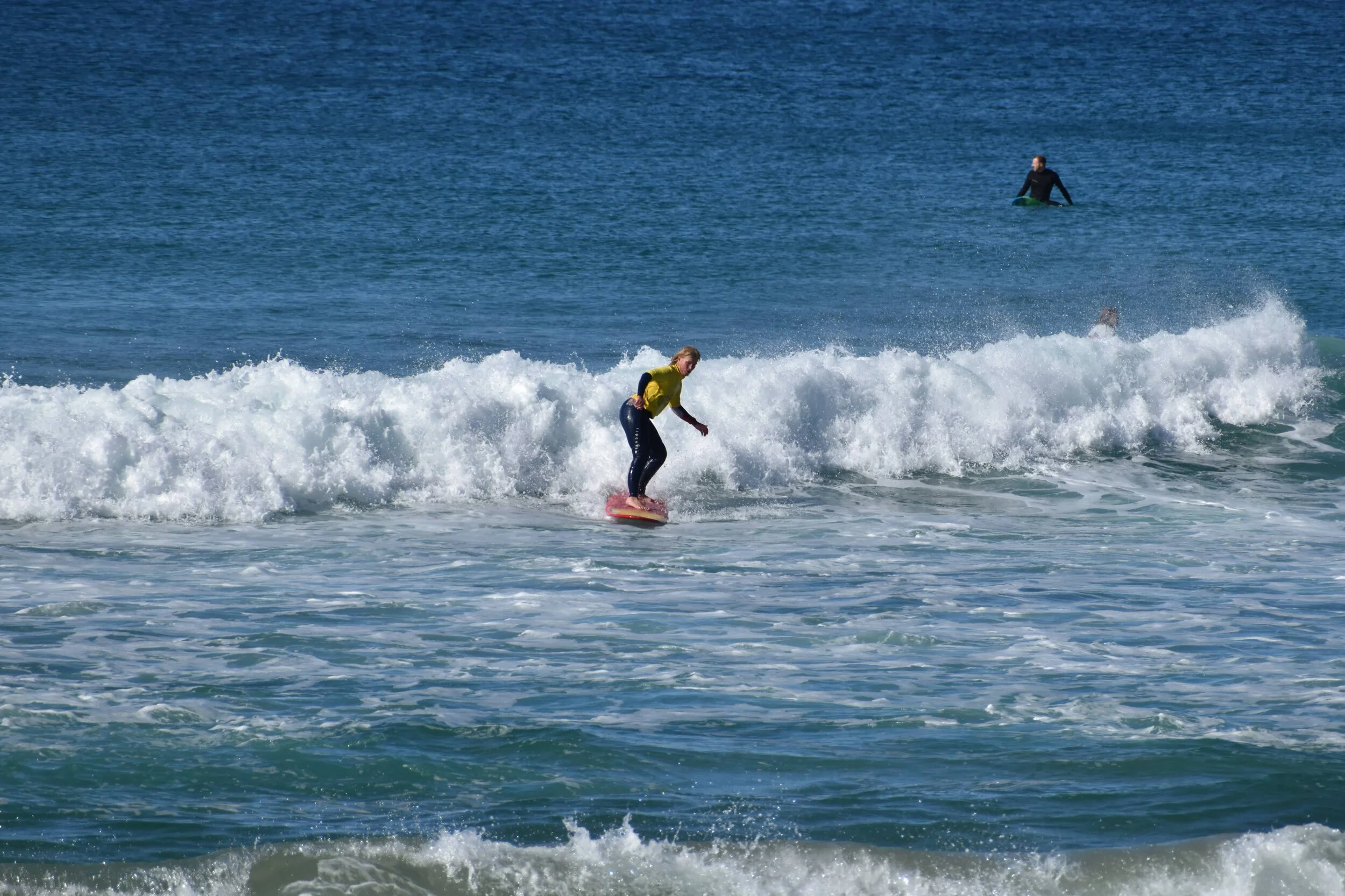 DSC_2006.jpg