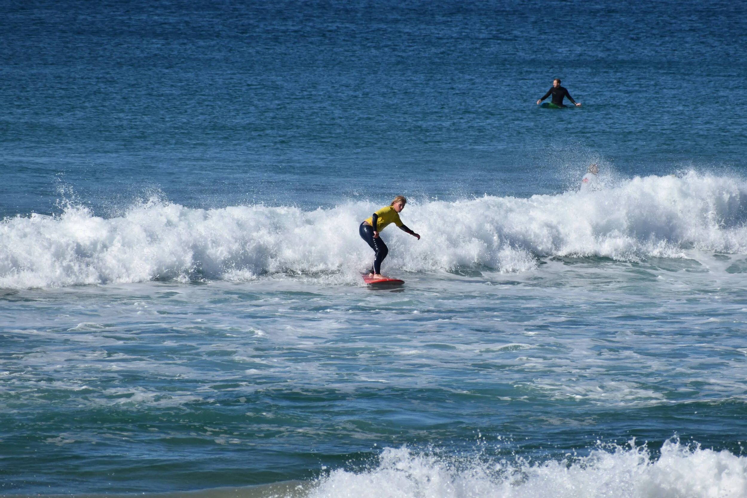 DSC_2008.jpg