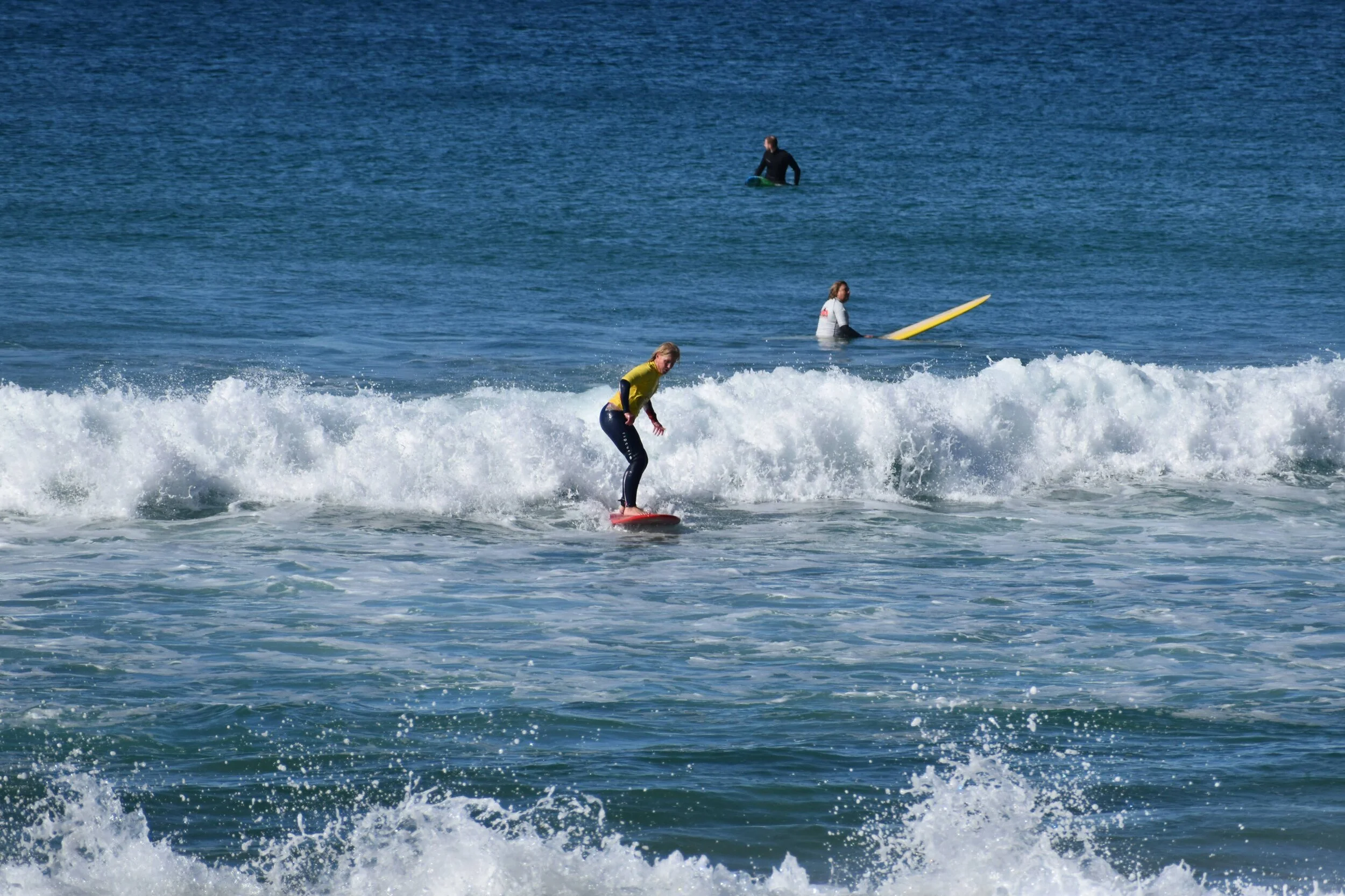 DSC_2009.jpg