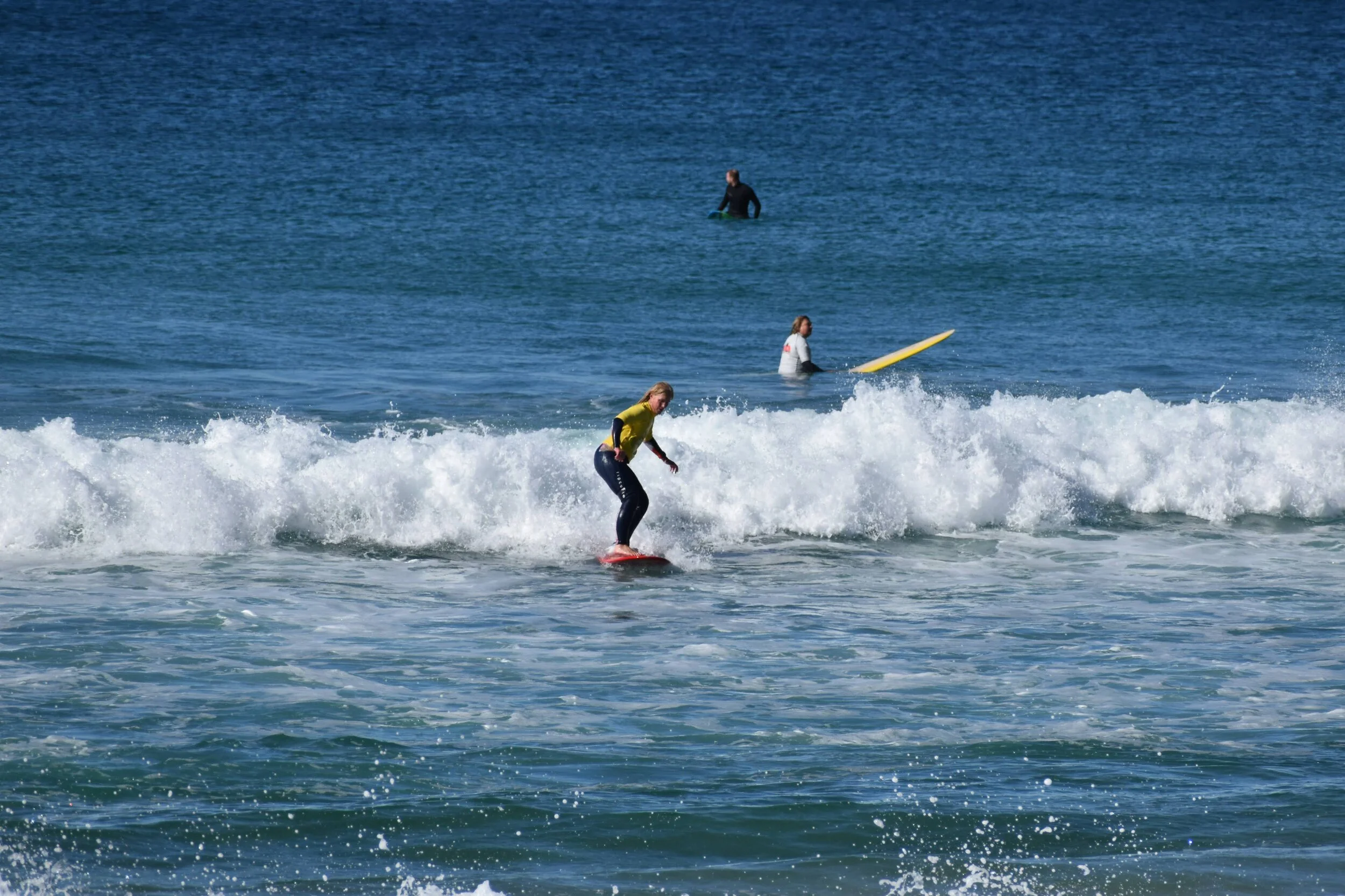 DSC_2010.jpg