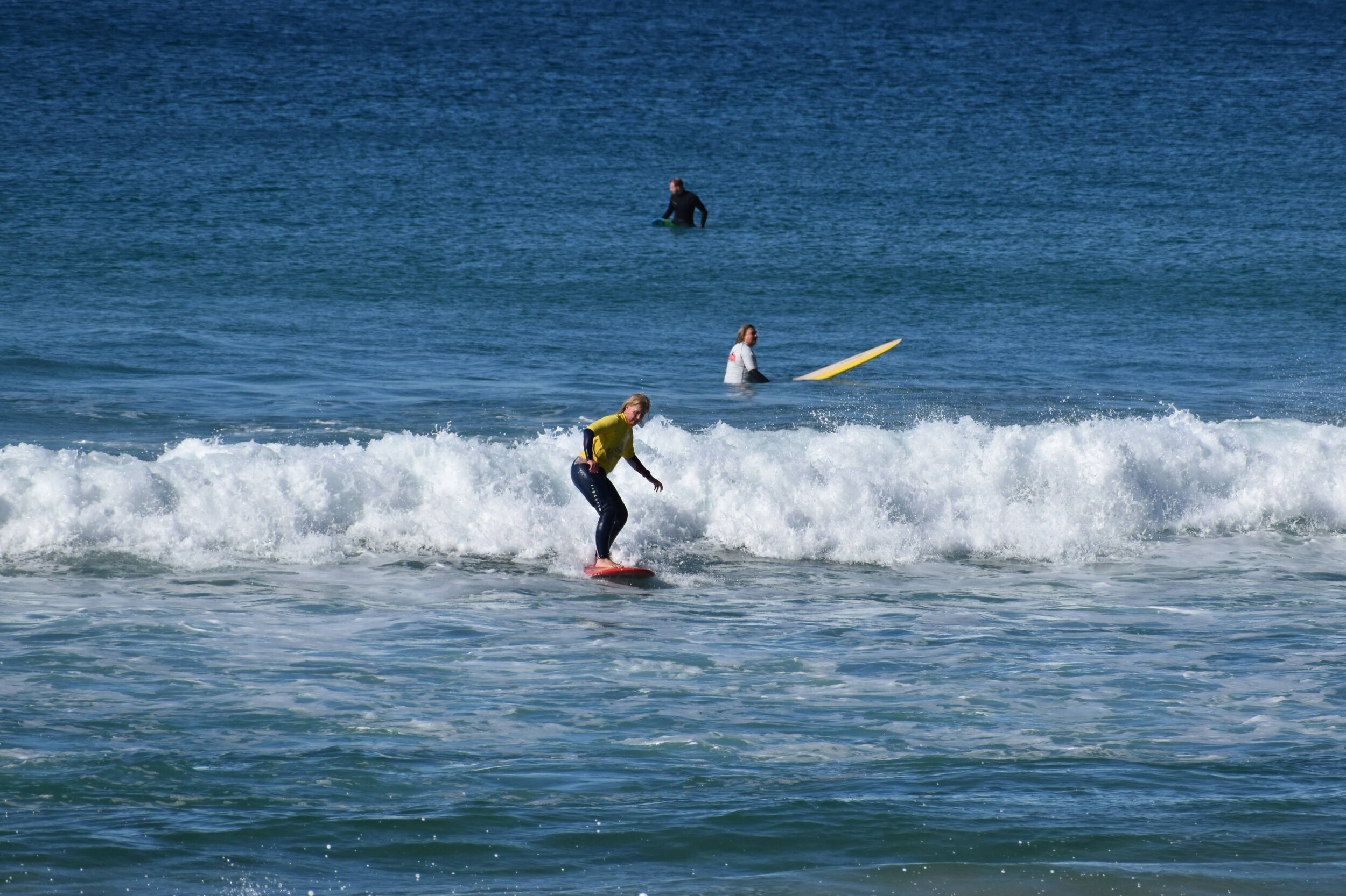 DSC_2011.jpg