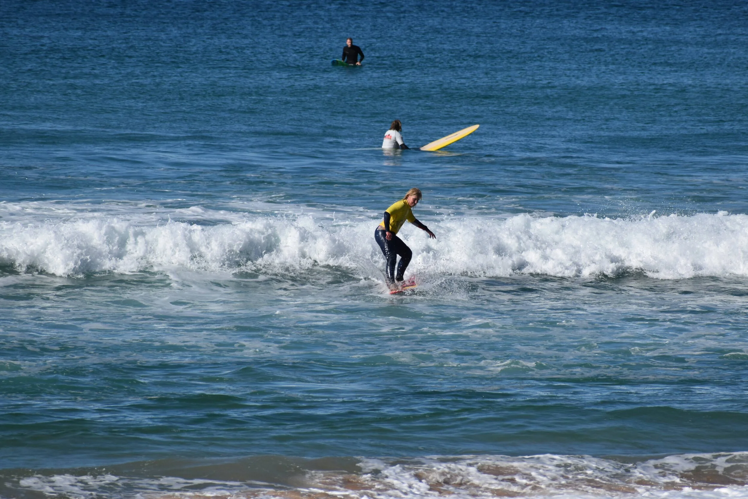 DSC_2015.jpg