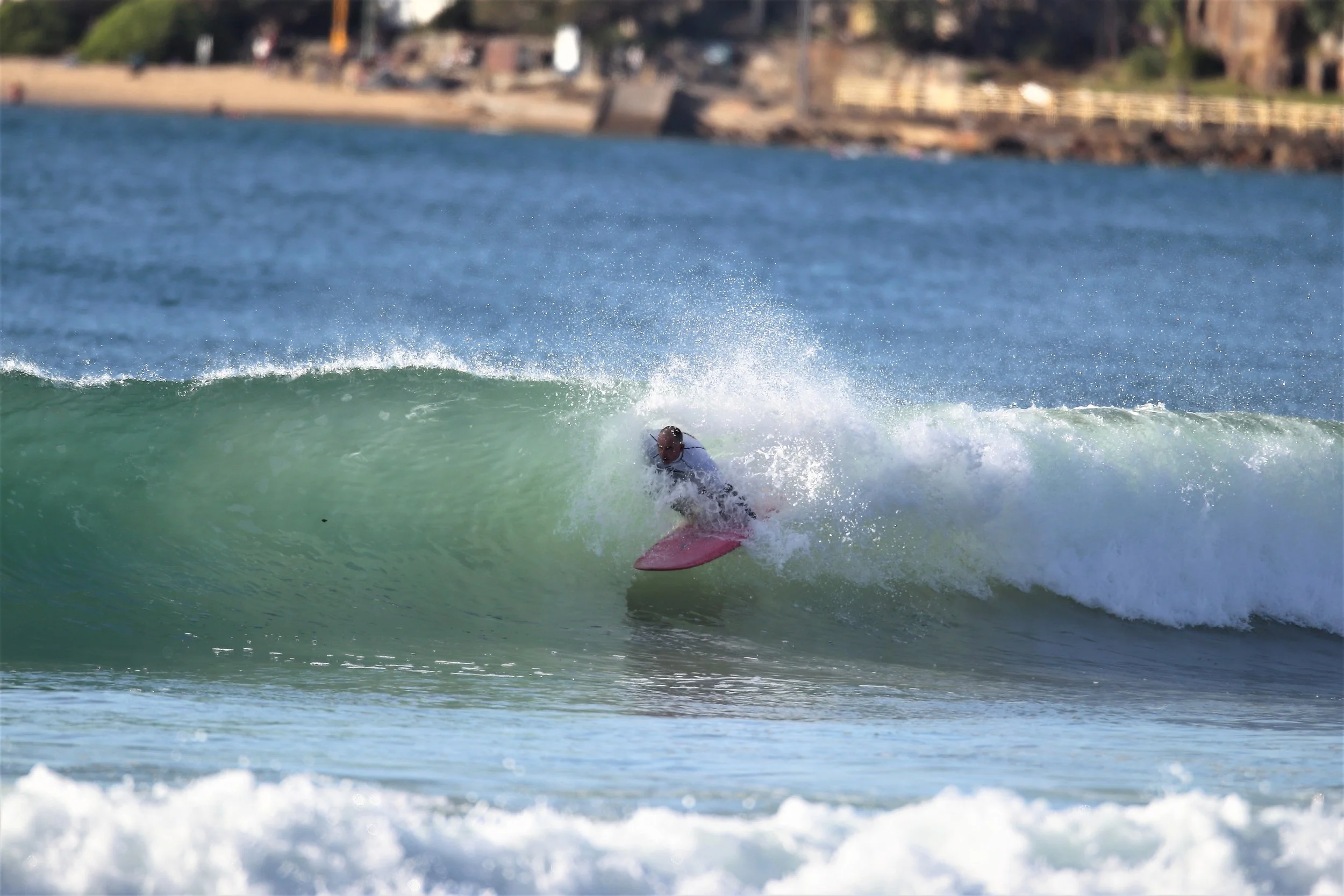 7795 (2).JPG