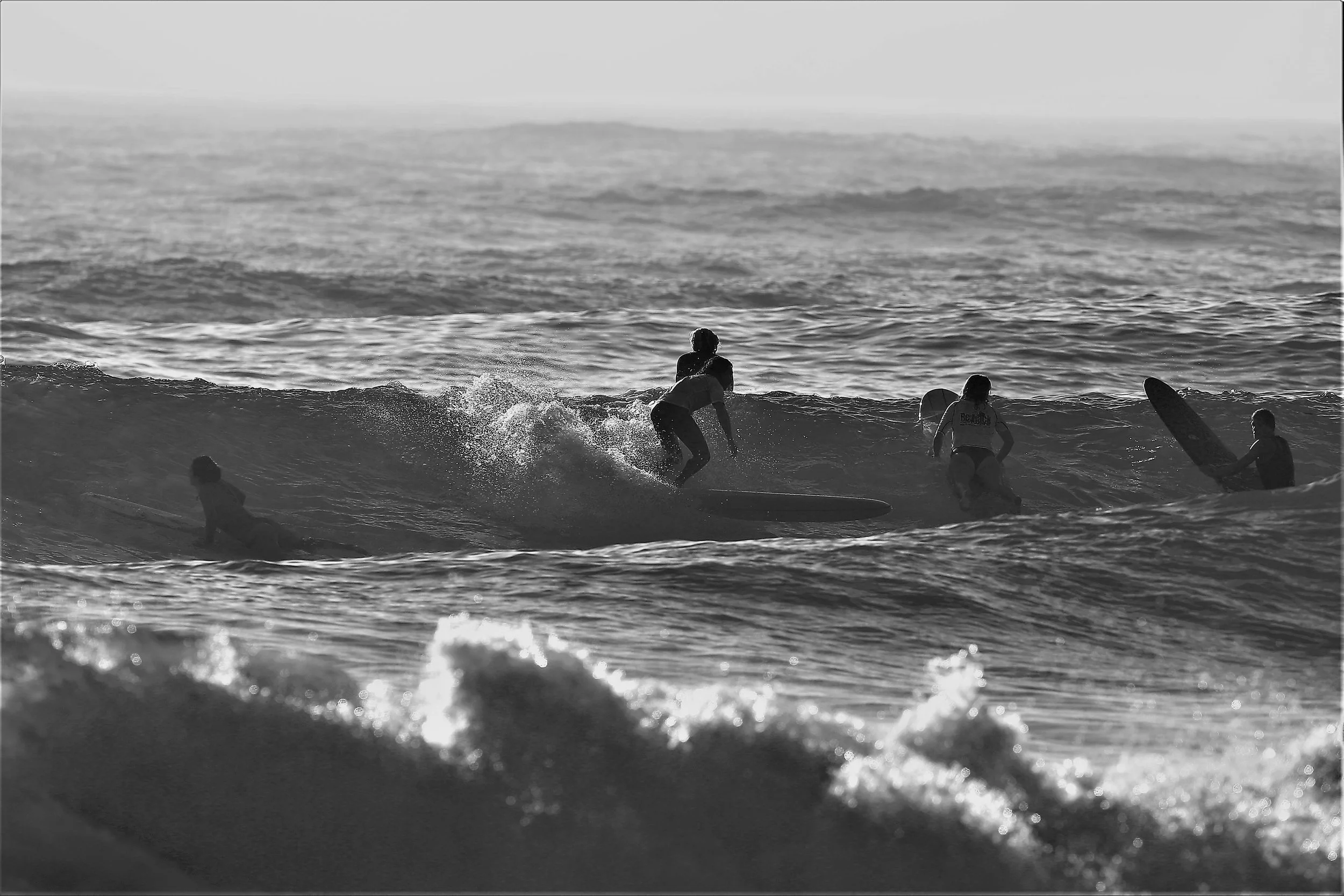Eveley Surf foggy starters (3).JPG