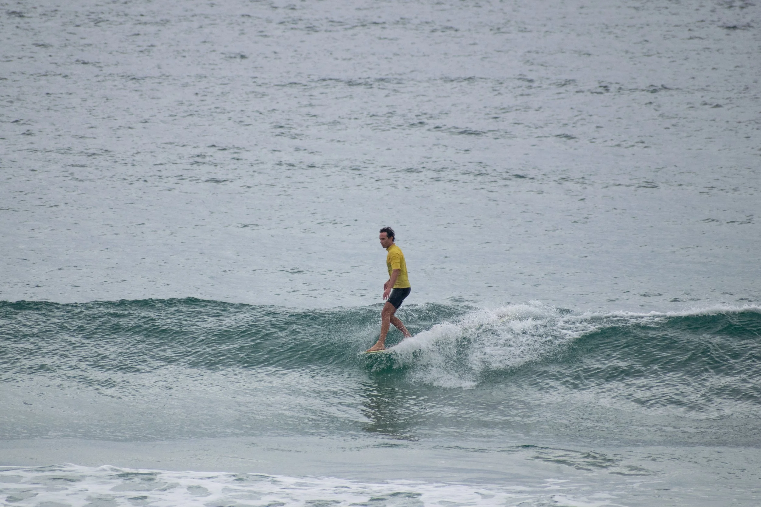 DSC_0977.jpg