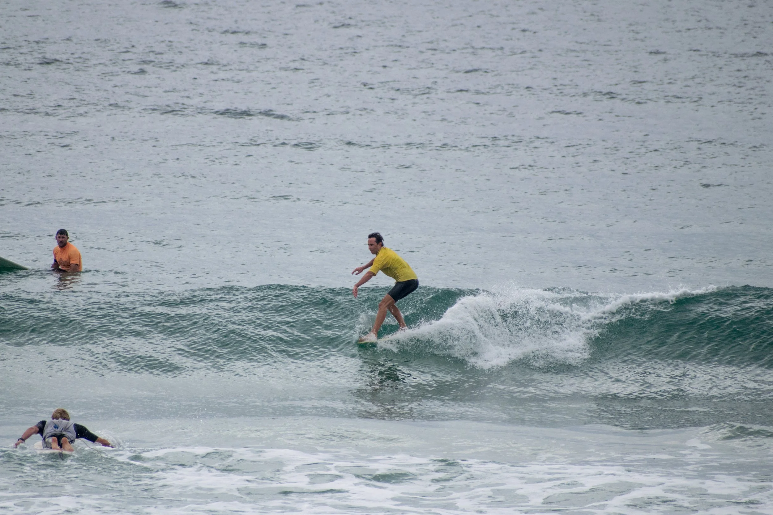 DSC_0978.jpg