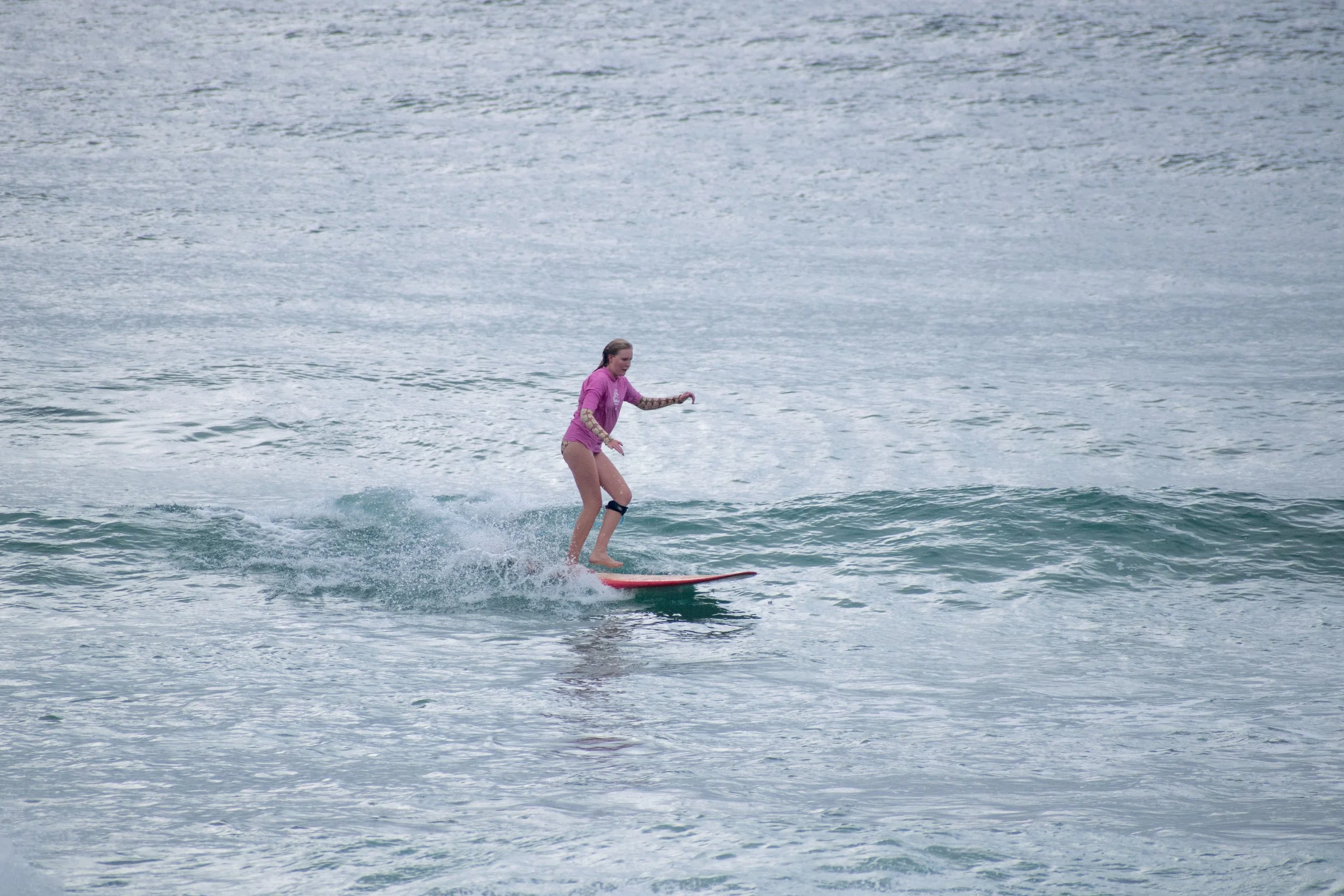 DSC_0917.jpg