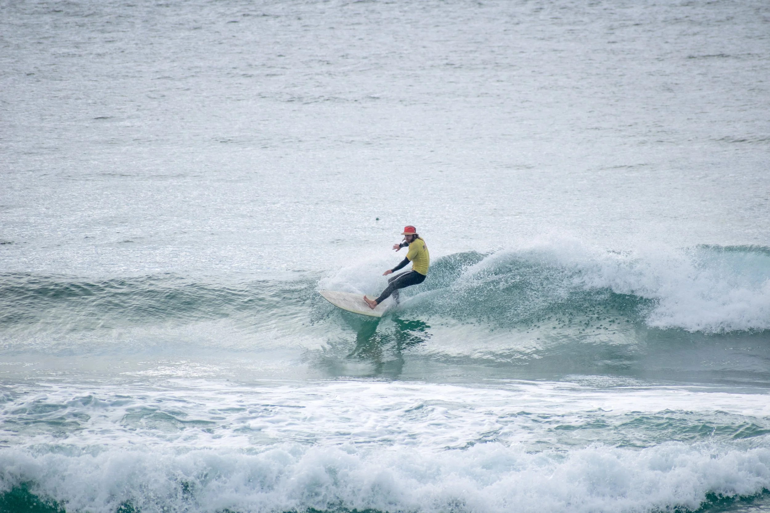 DSC_0848.jpg