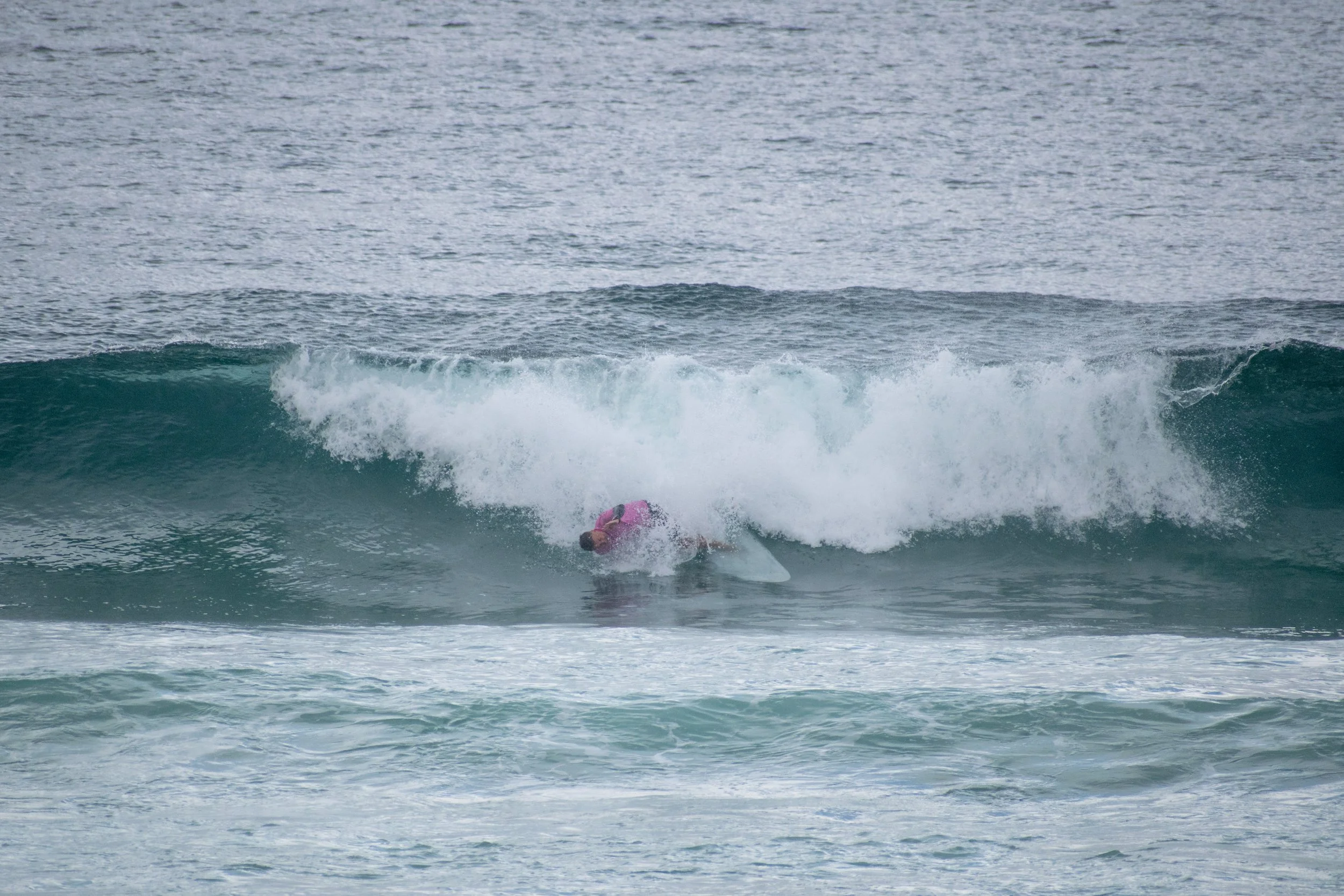 DSC_0921.jpg