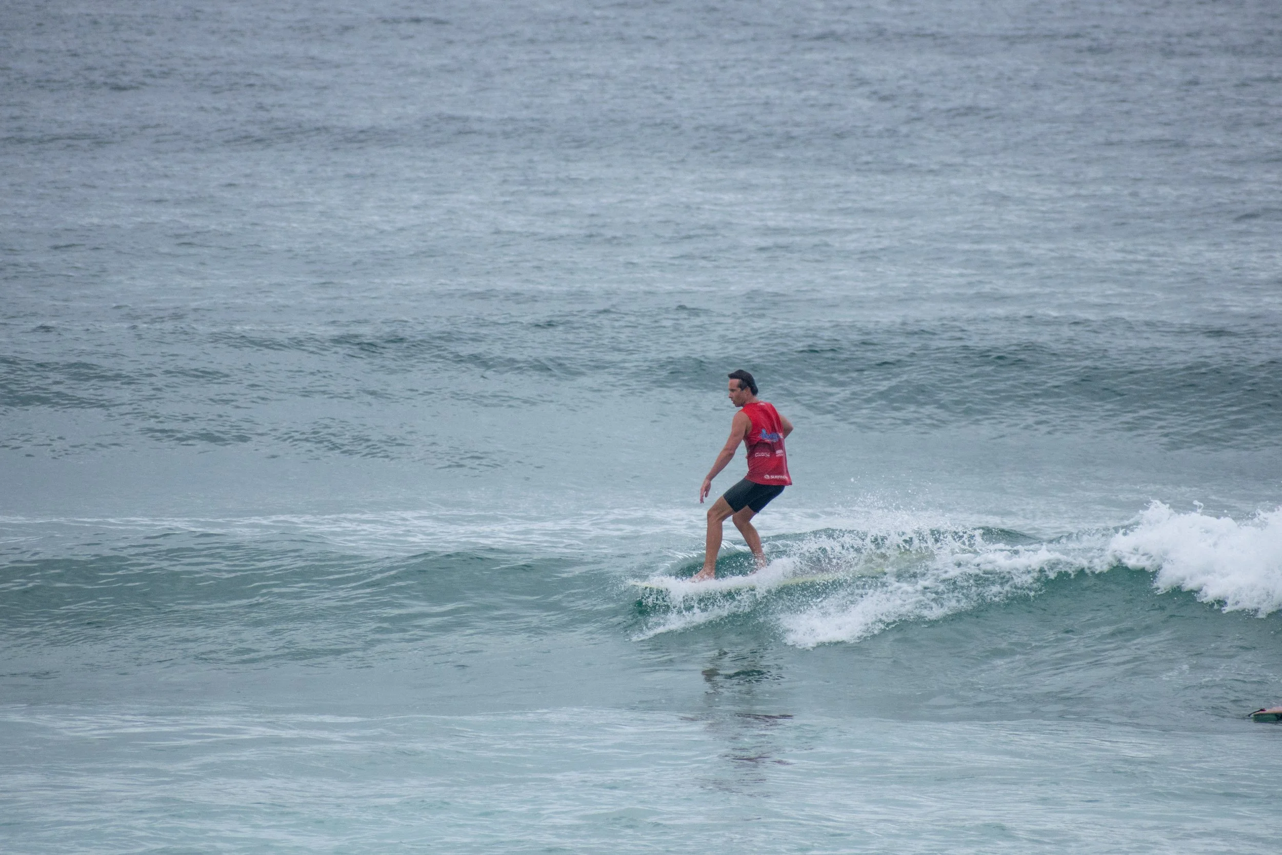 DSC_0877.jpg