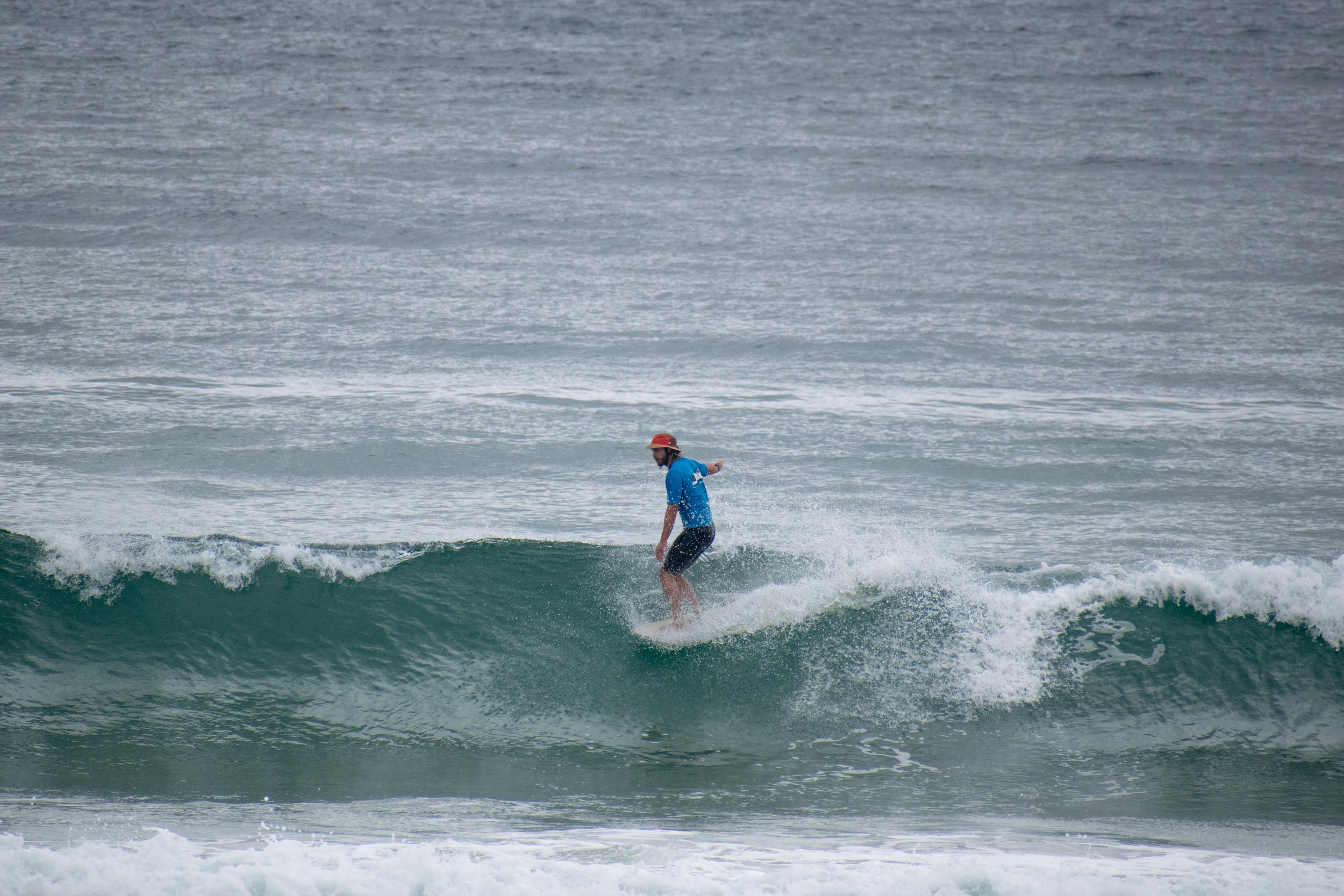 DSC_0951.jpg