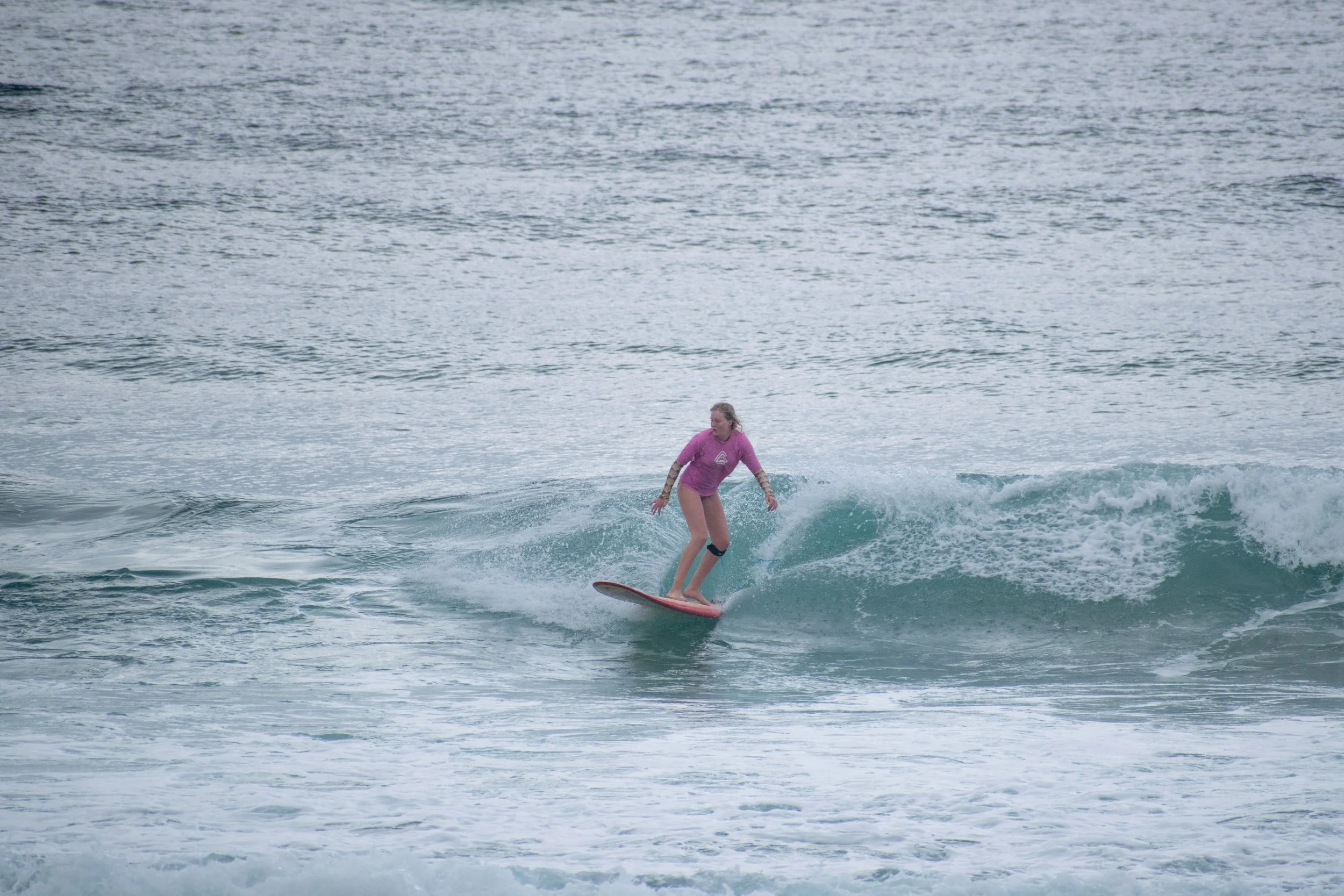 DSC_0911.jpg