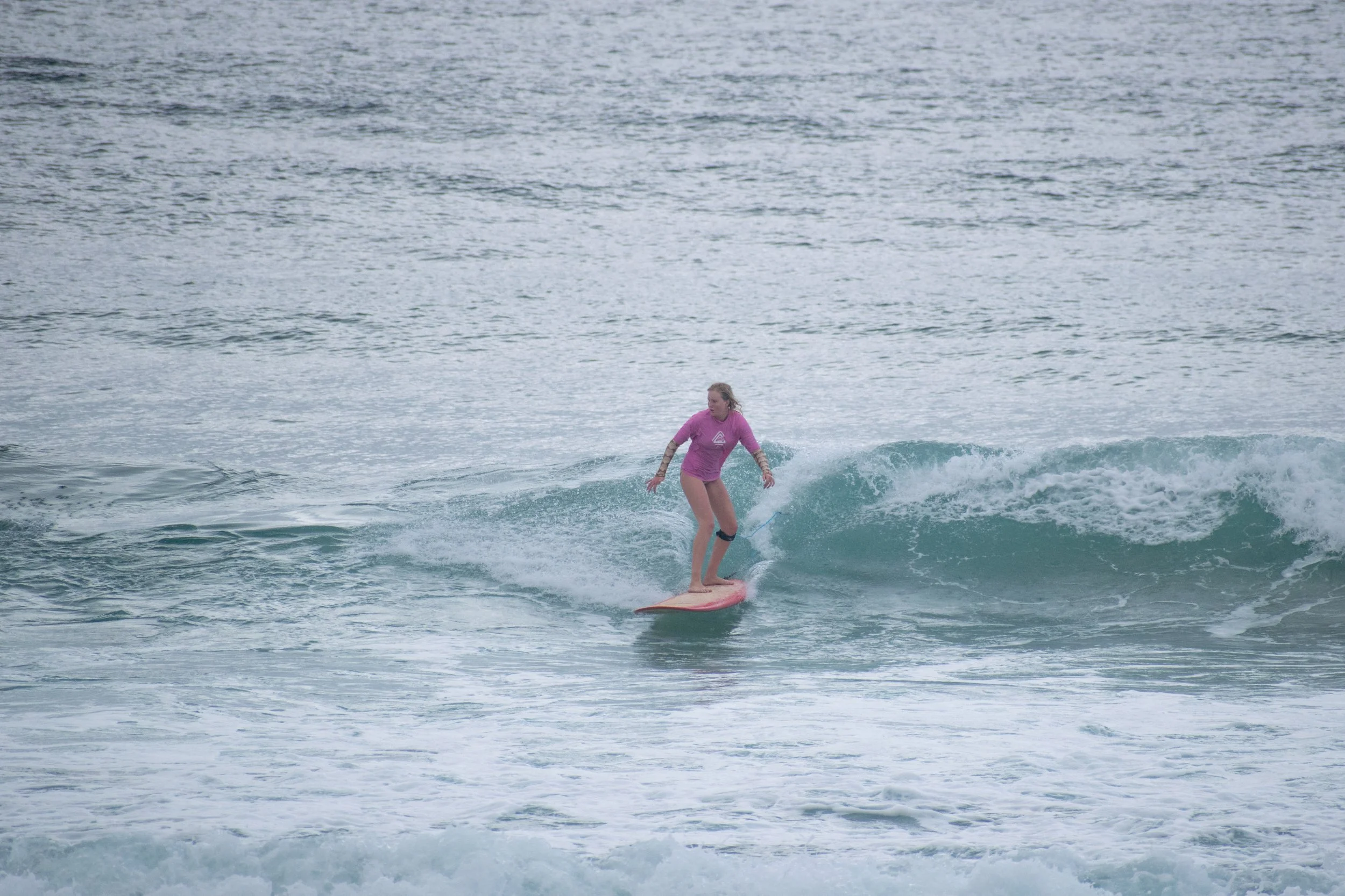 DSC_0912.jpg