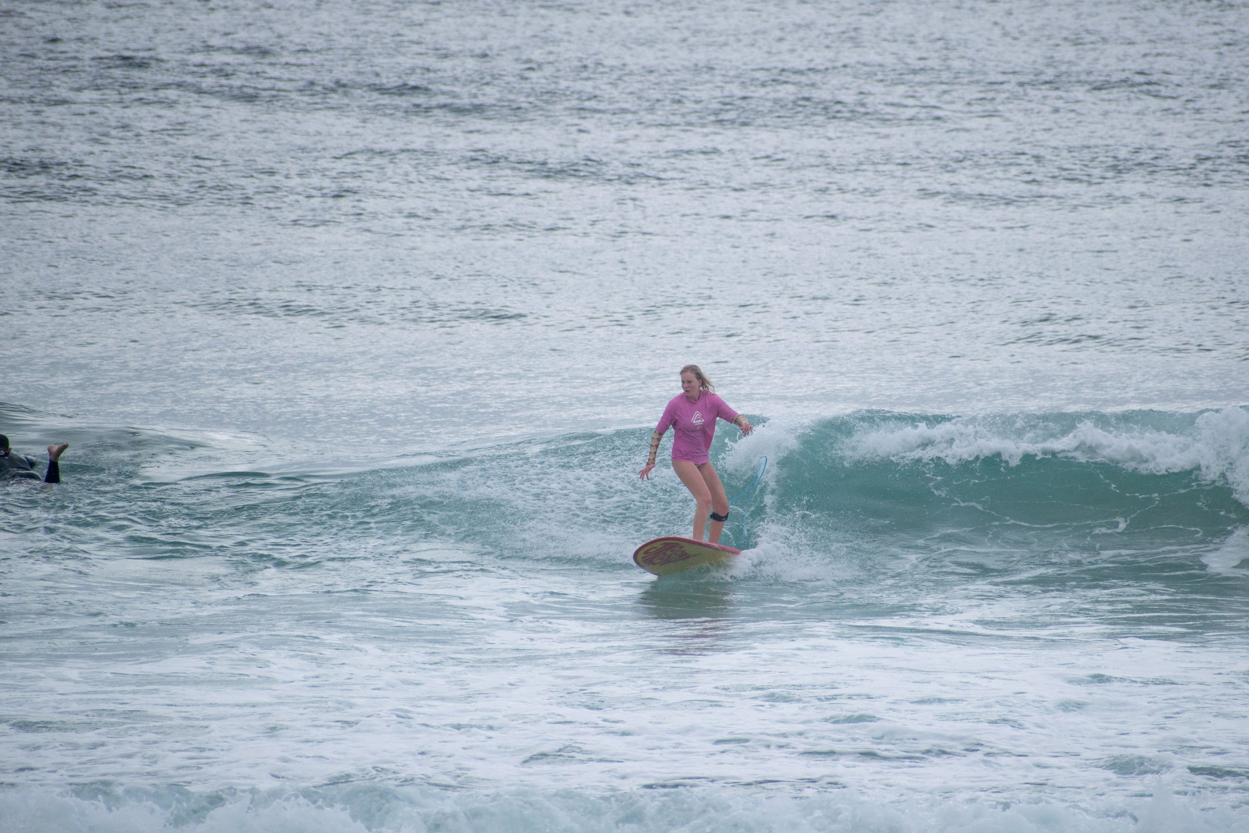 DSC_0913.jpg