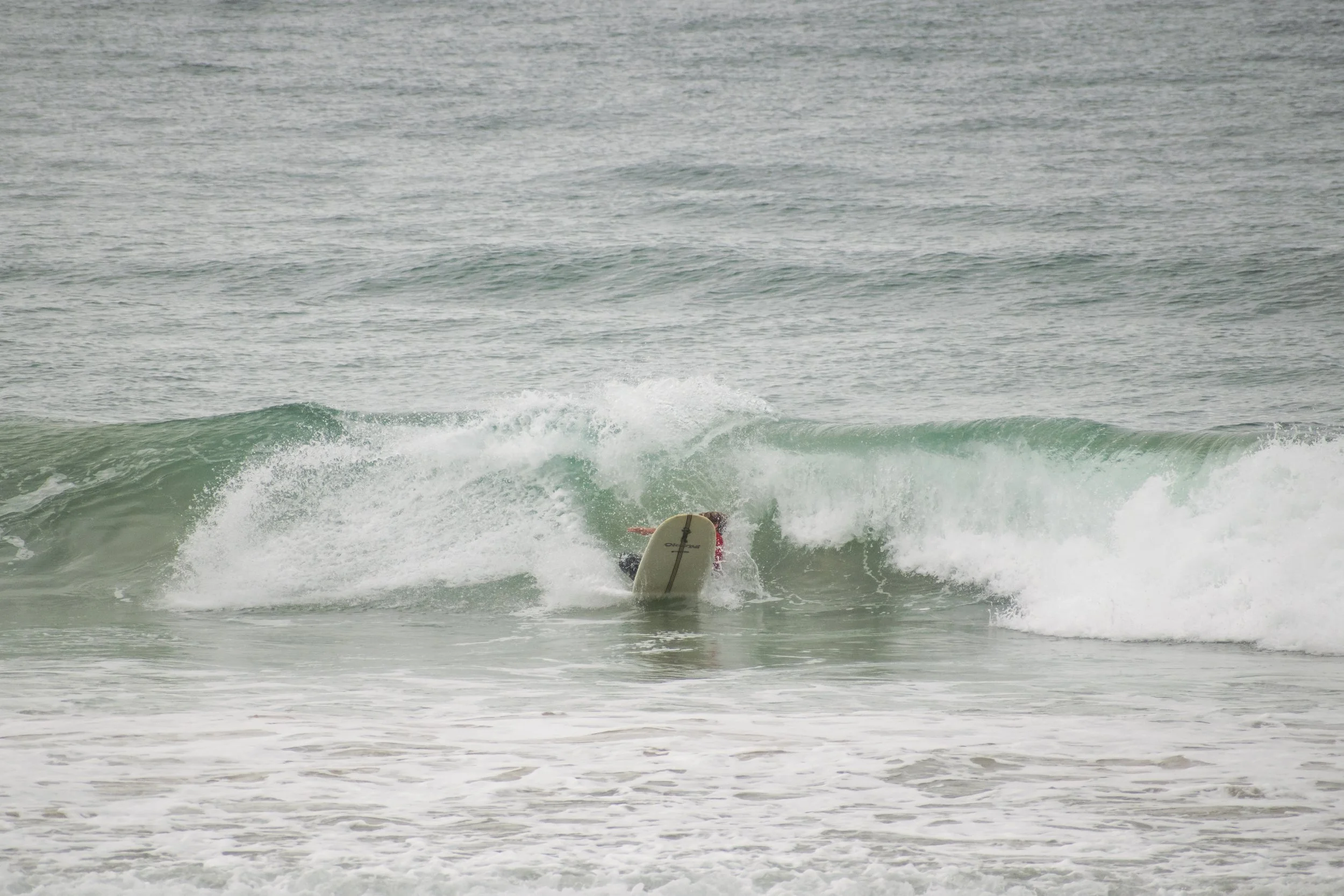 DSC_0019.jpg