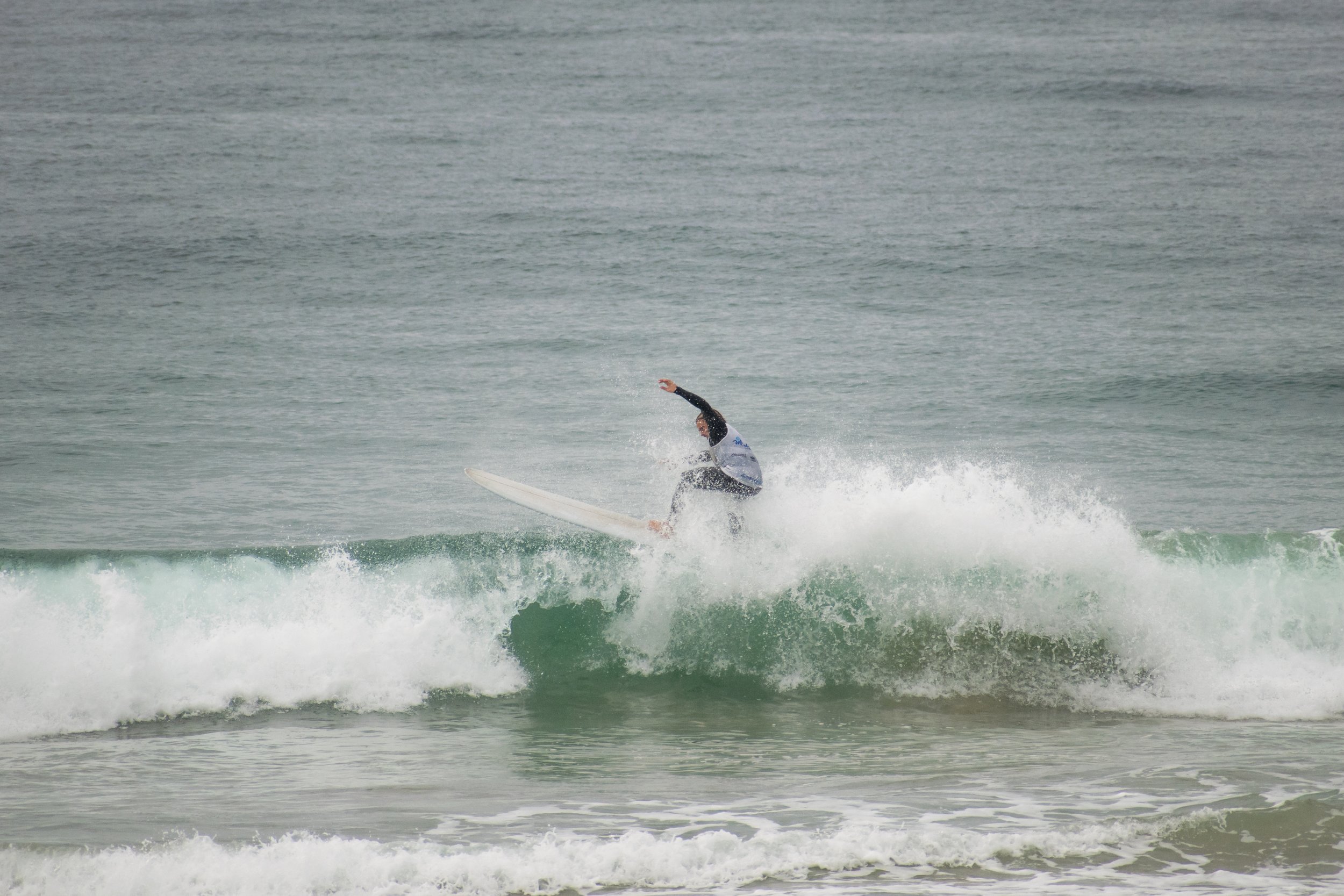 DSC_0033.jpg