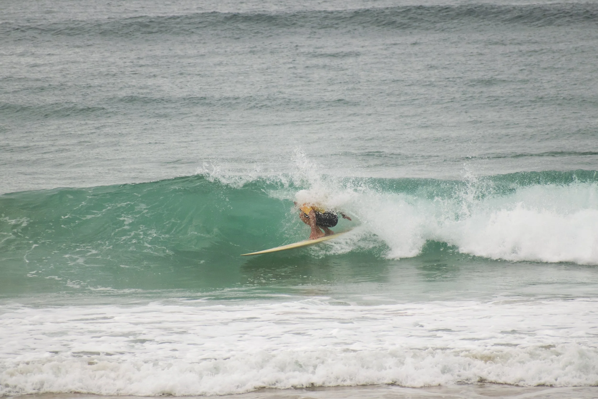 DSC_0048.jpg
