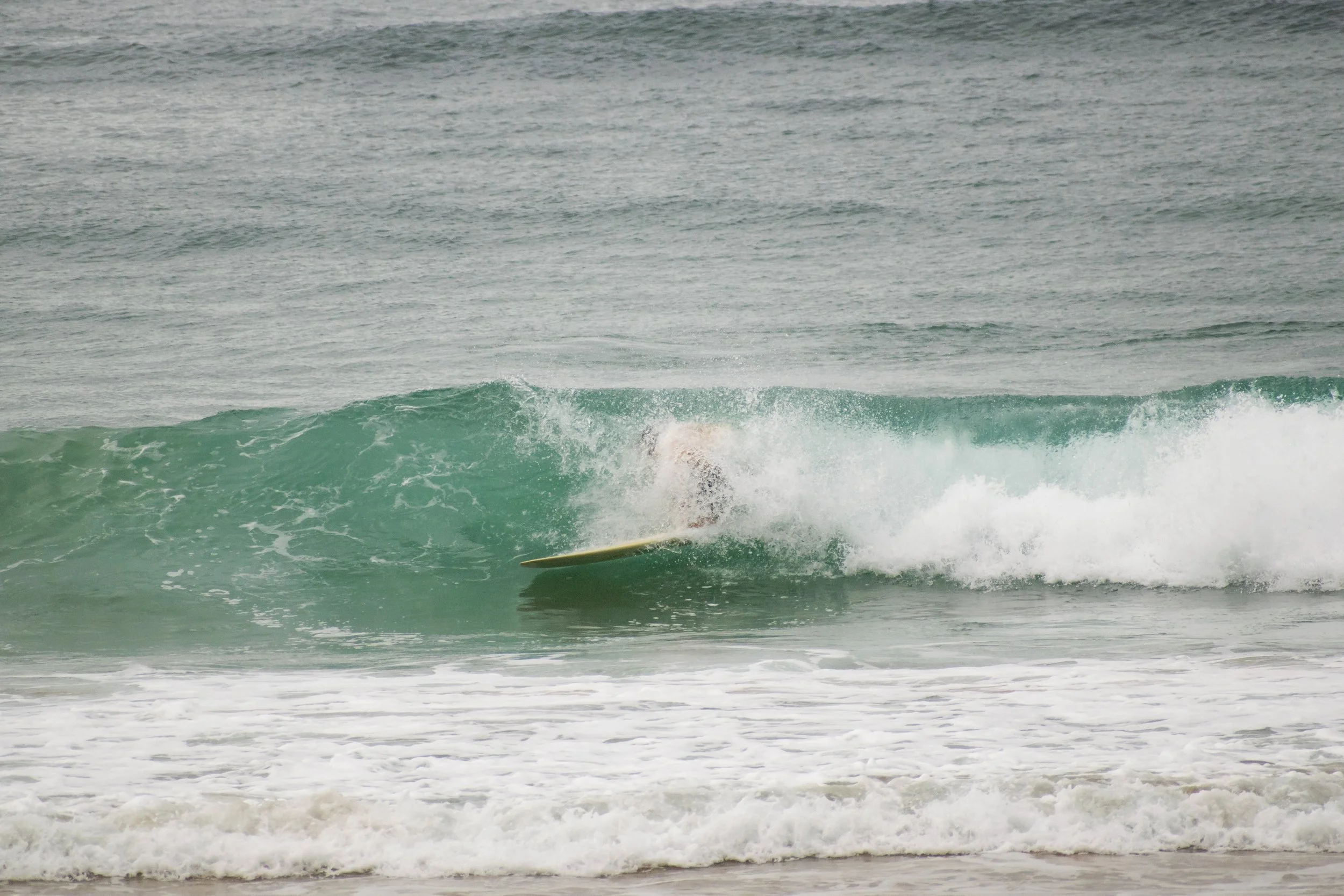 DSC_0049.jpg