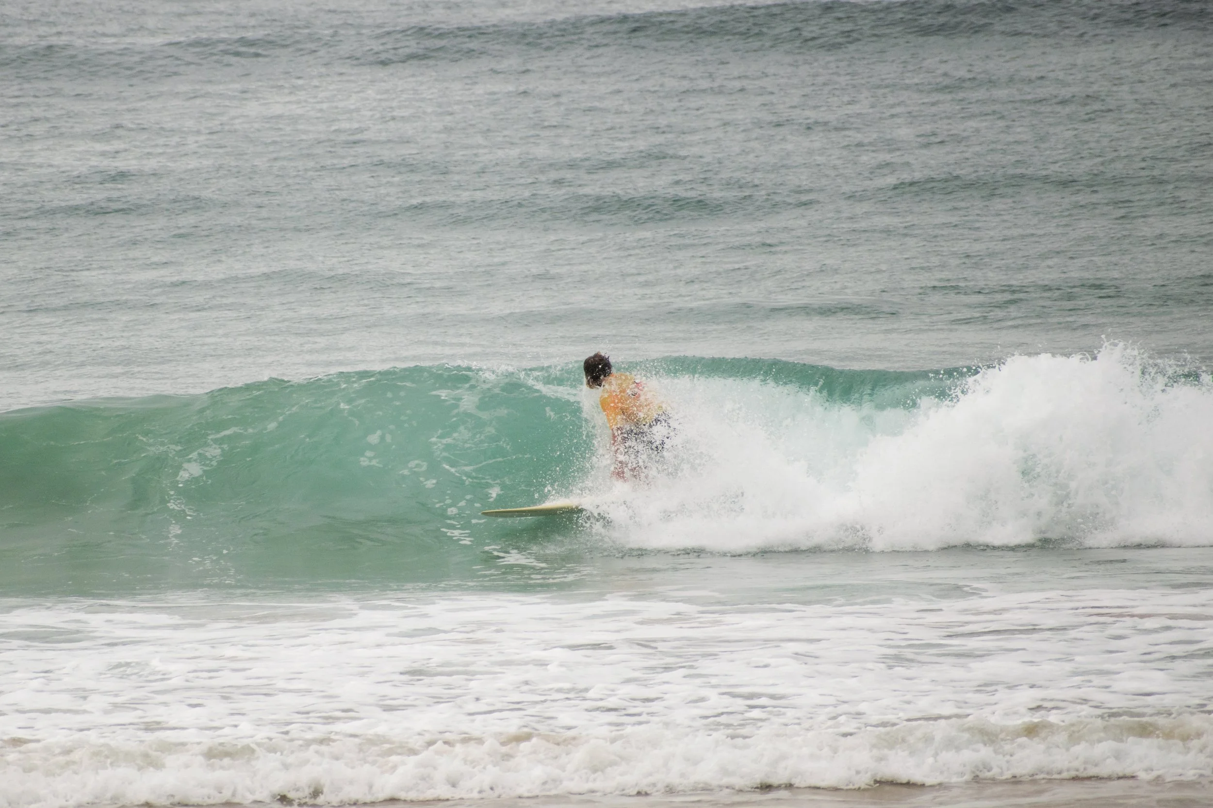 DSC_0051.jpg