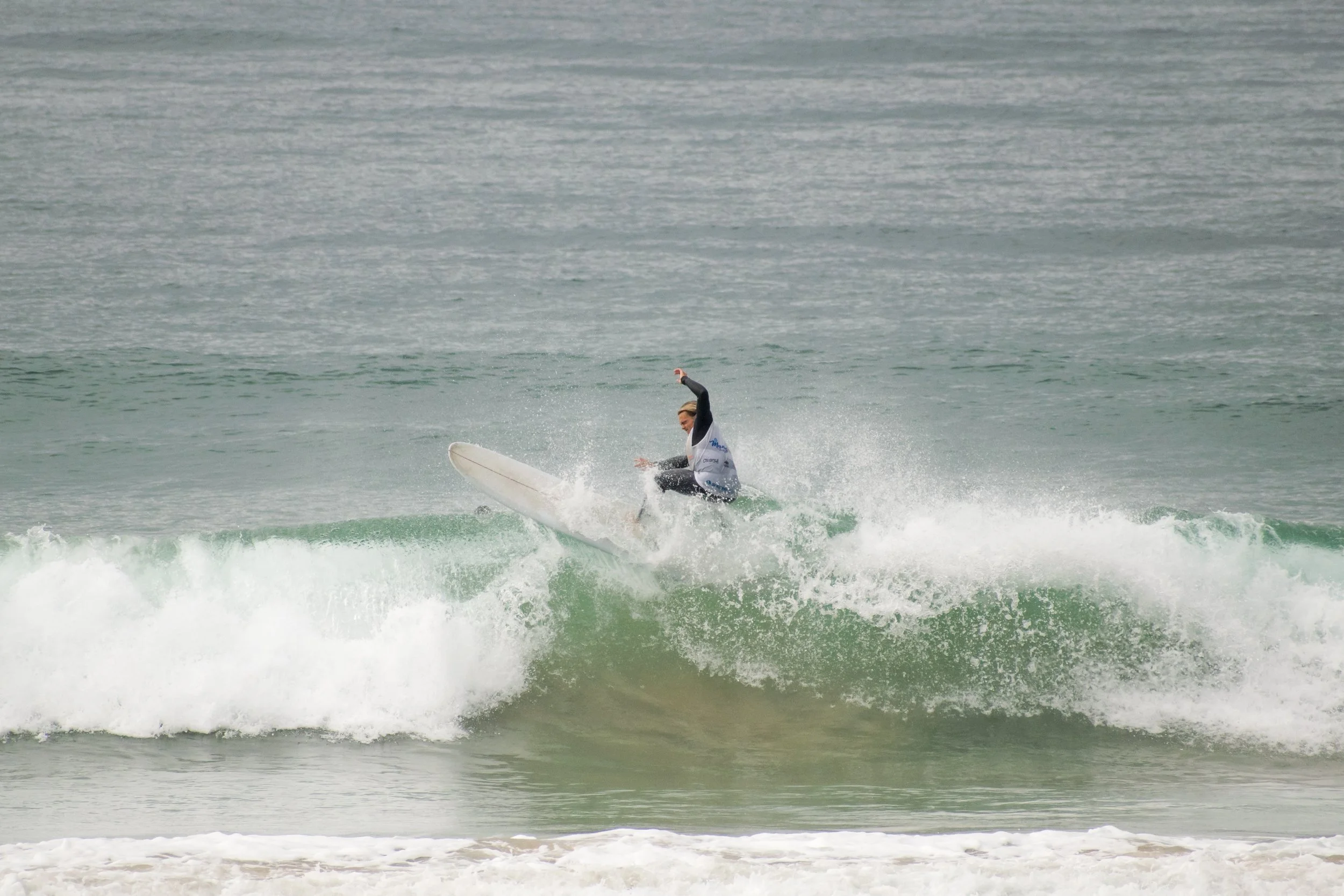 DSC_0072.jpg