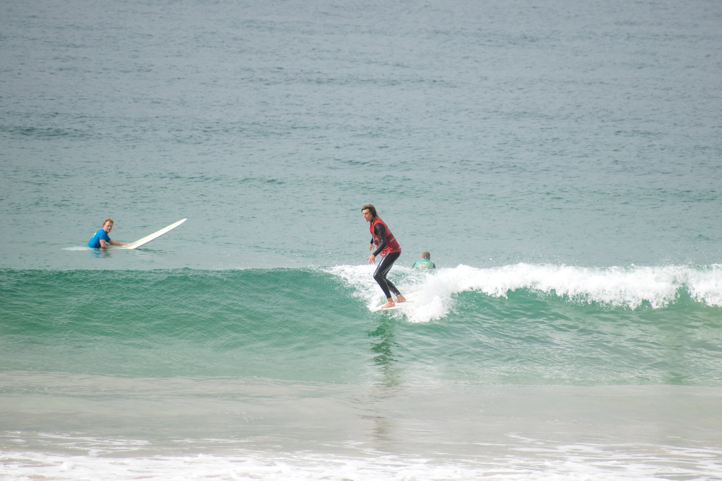 DSC_0241.jpg