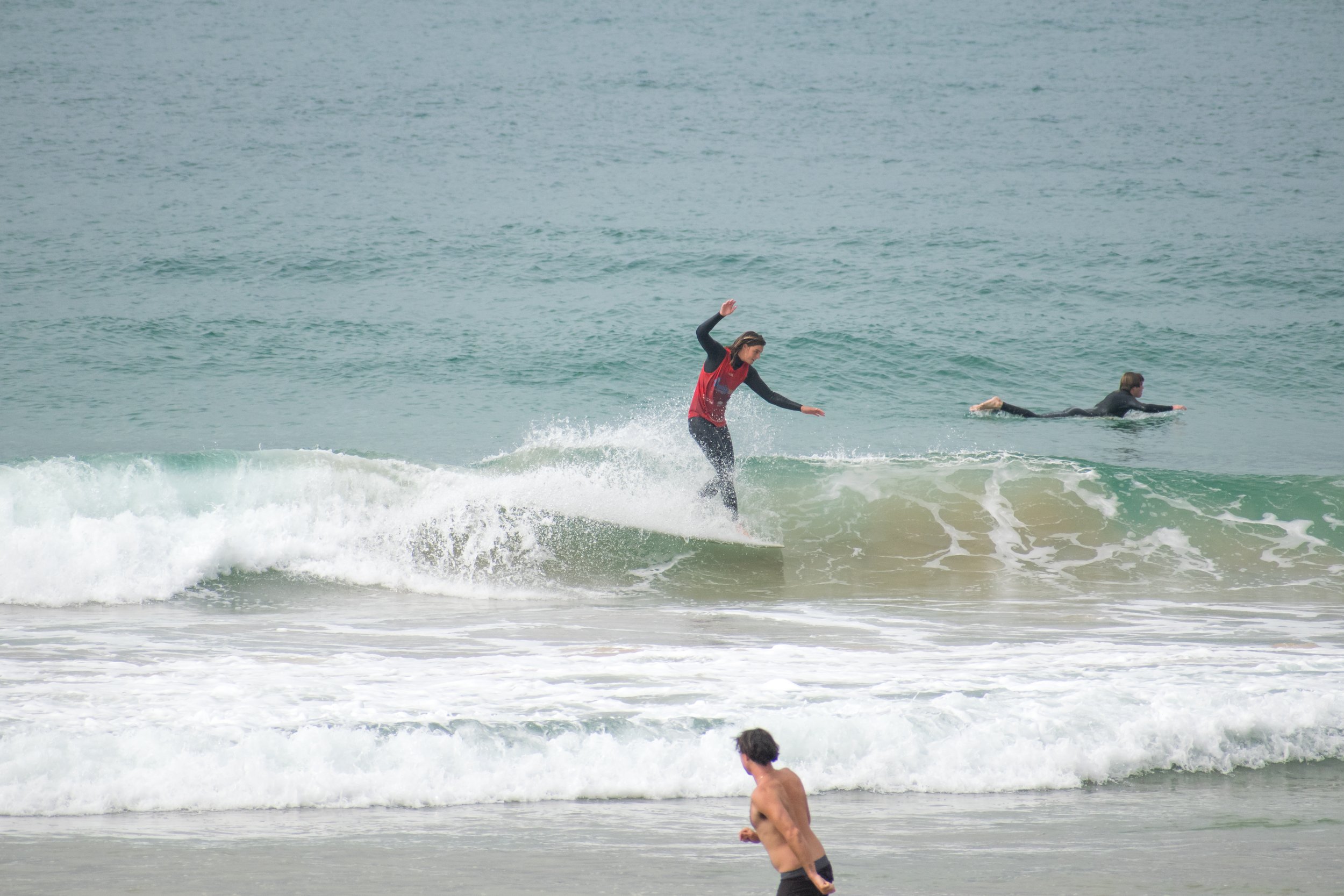 DSC_0233.jpg