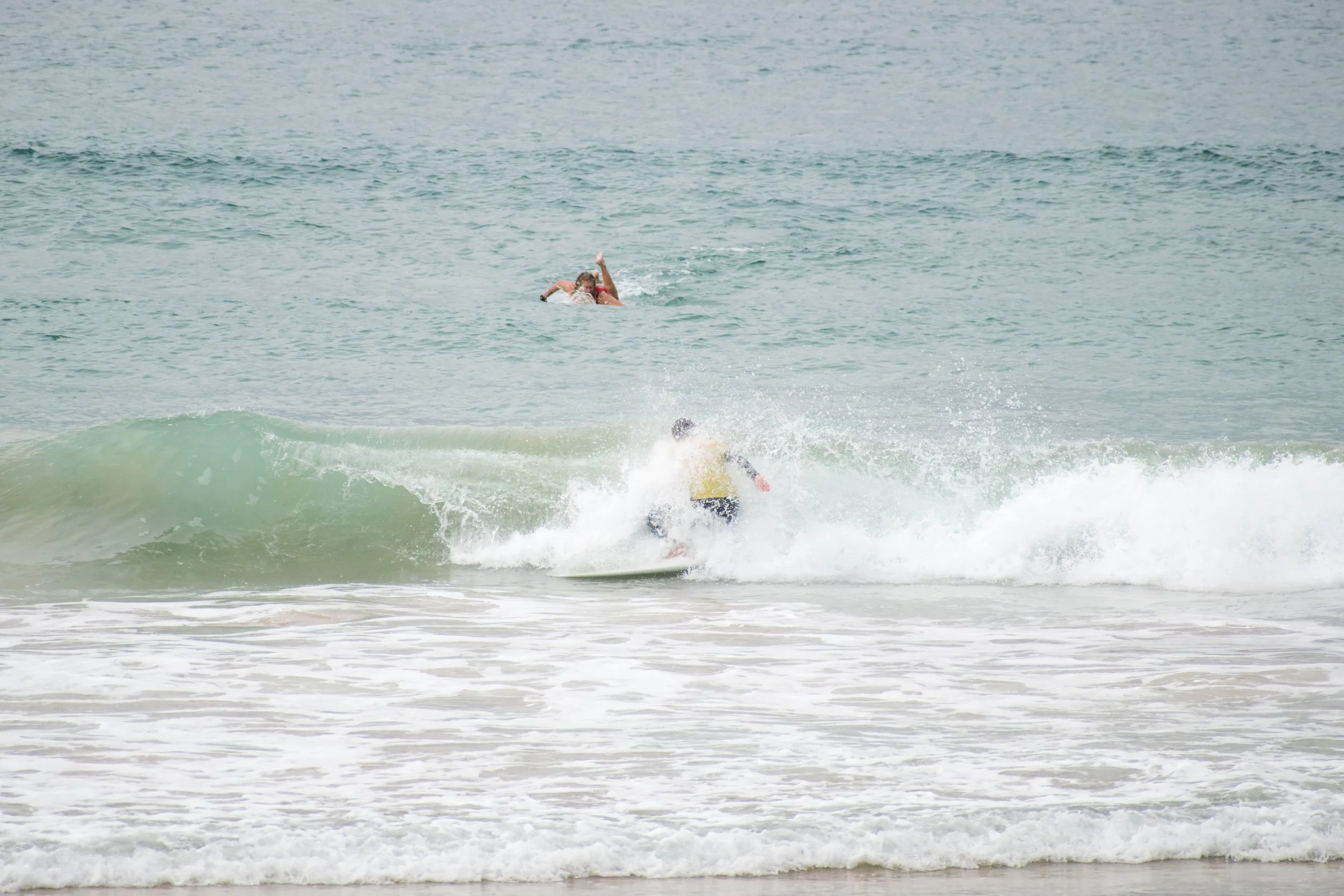 DSC_0278.jpg