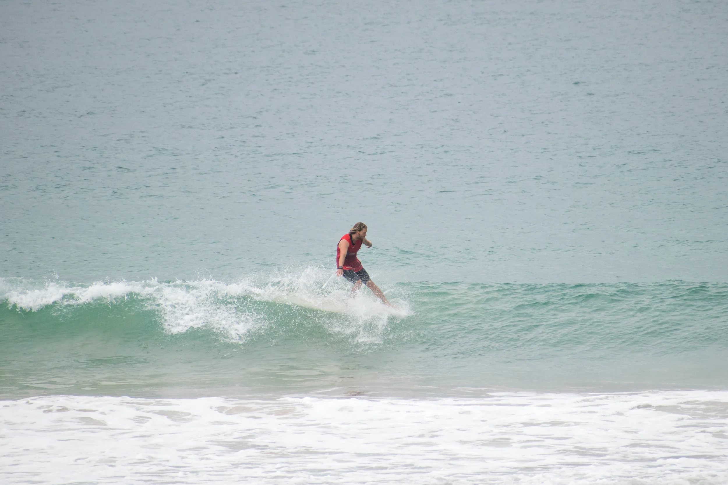 DSC_0290.jpg