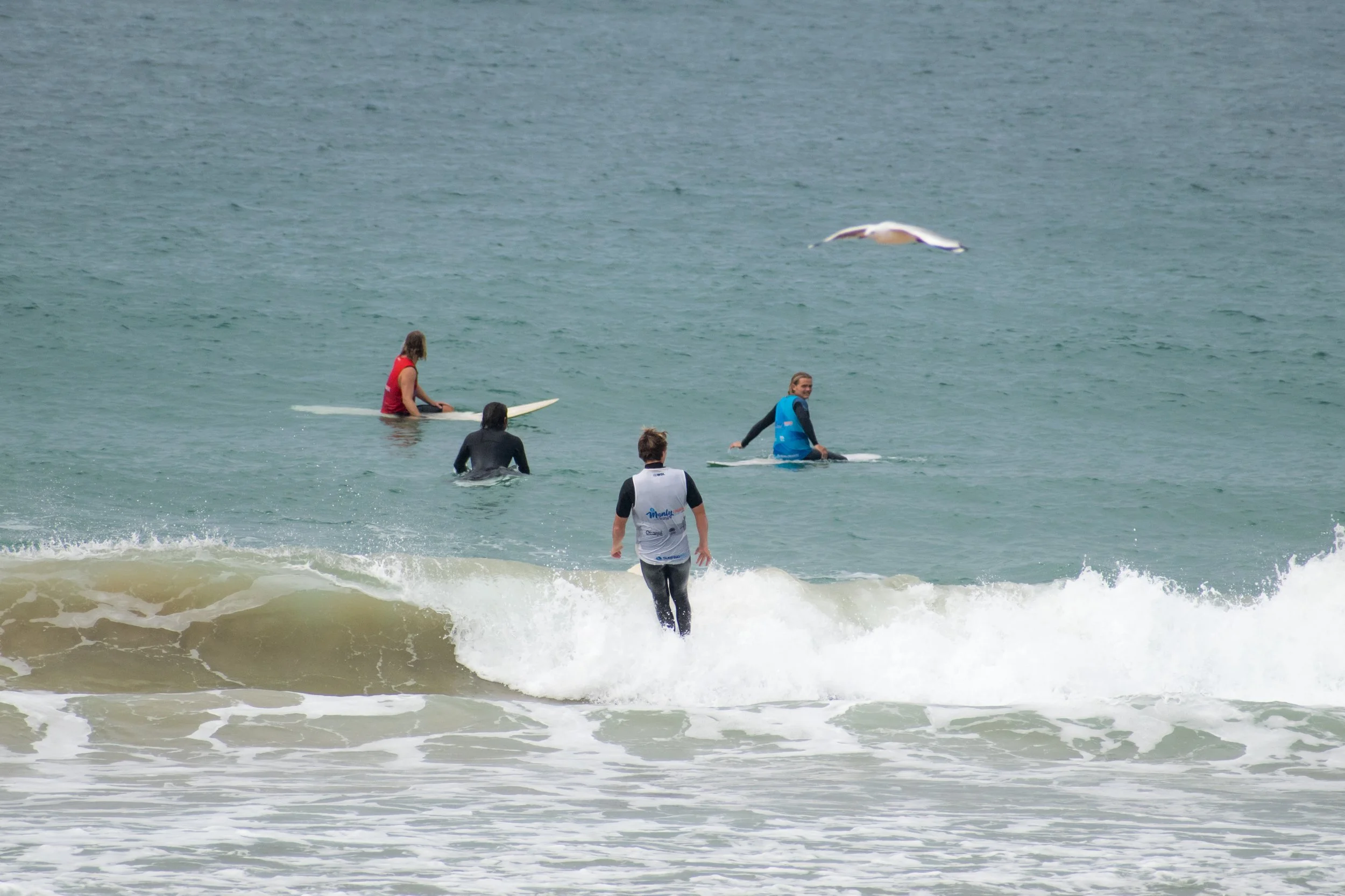 DSC_0394.jpg