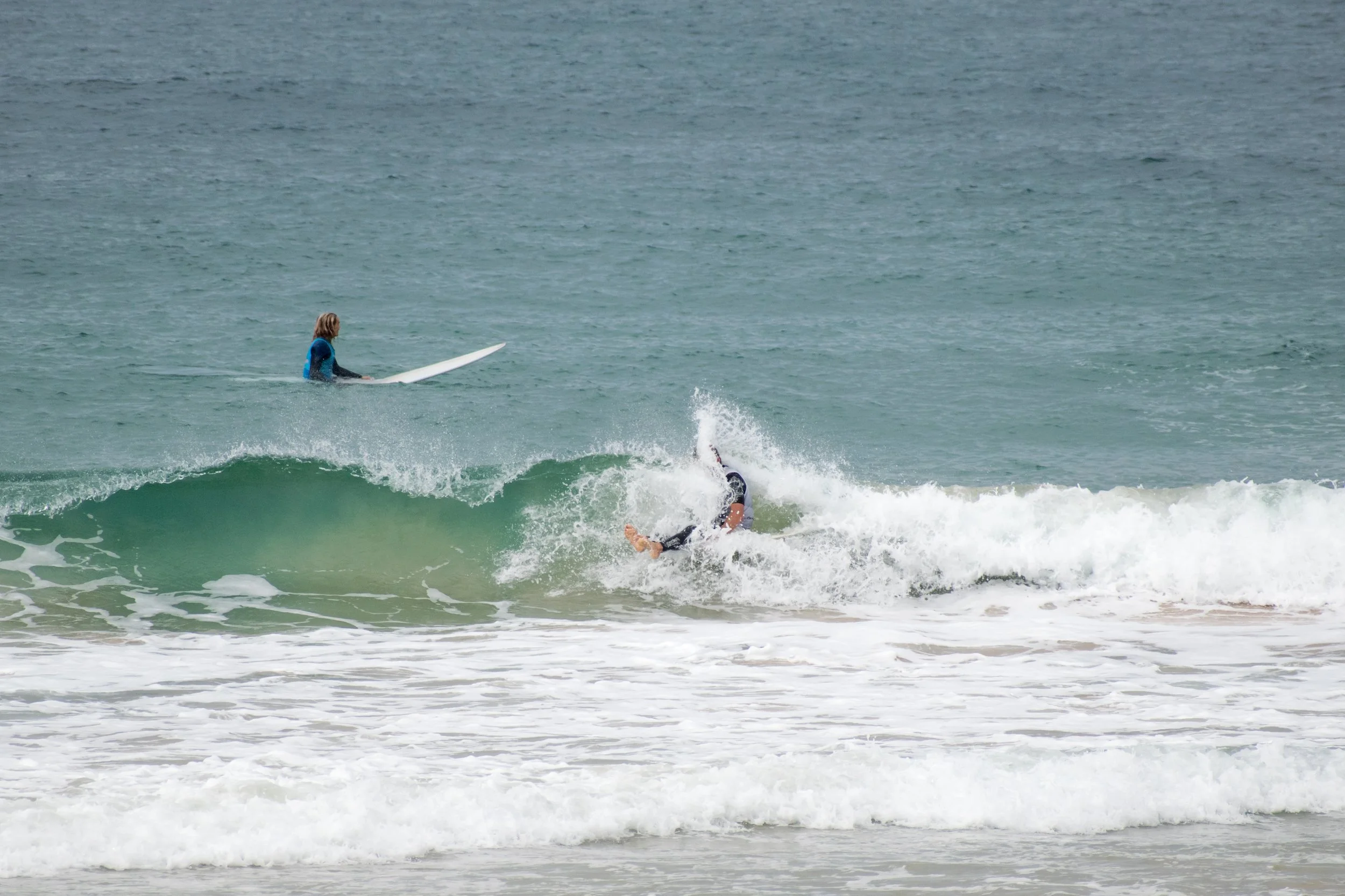 DSC_0442.jpg