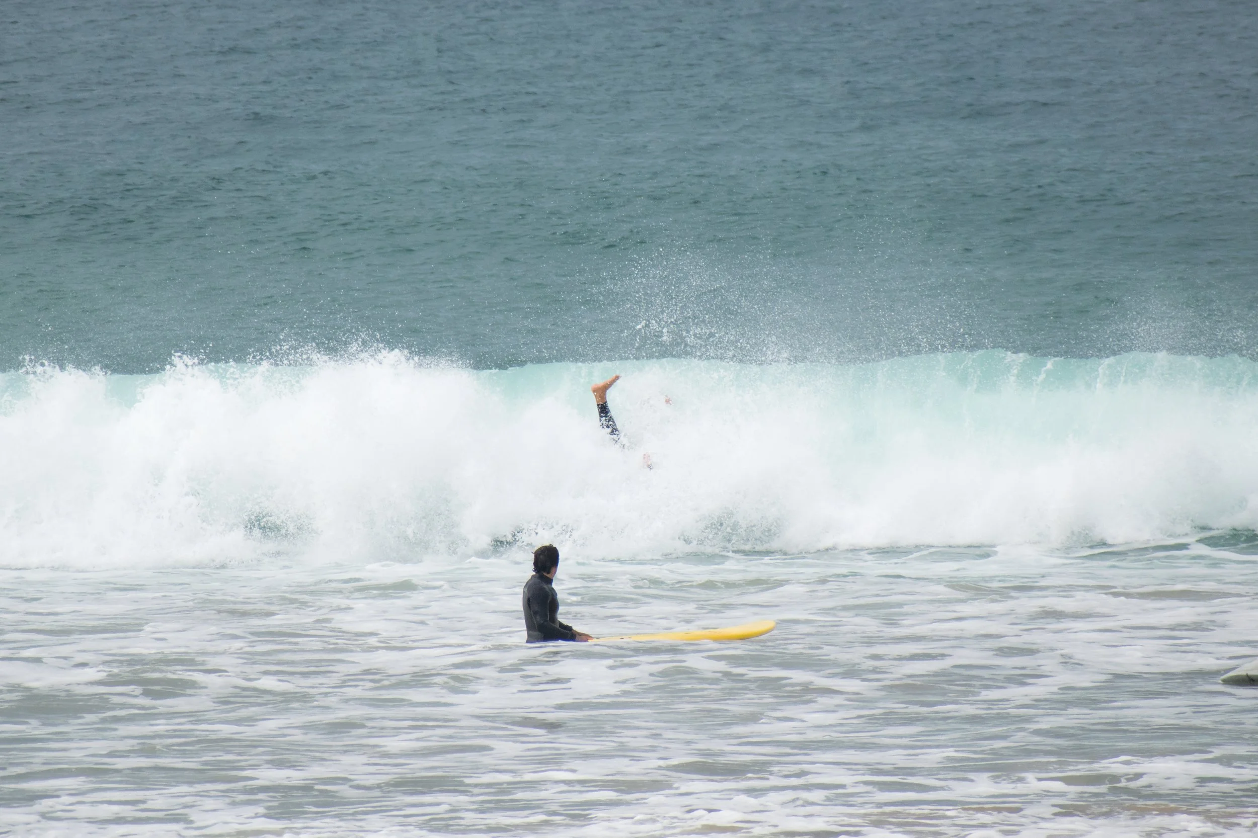 DSC_0419.jpg