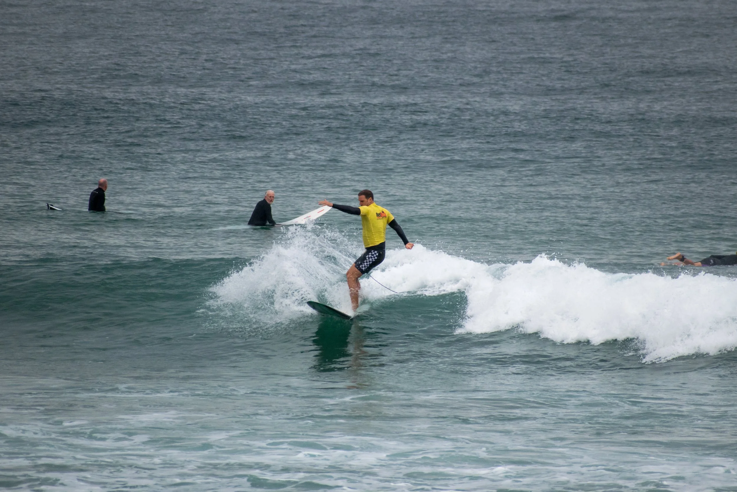 DSC_1135.jpg