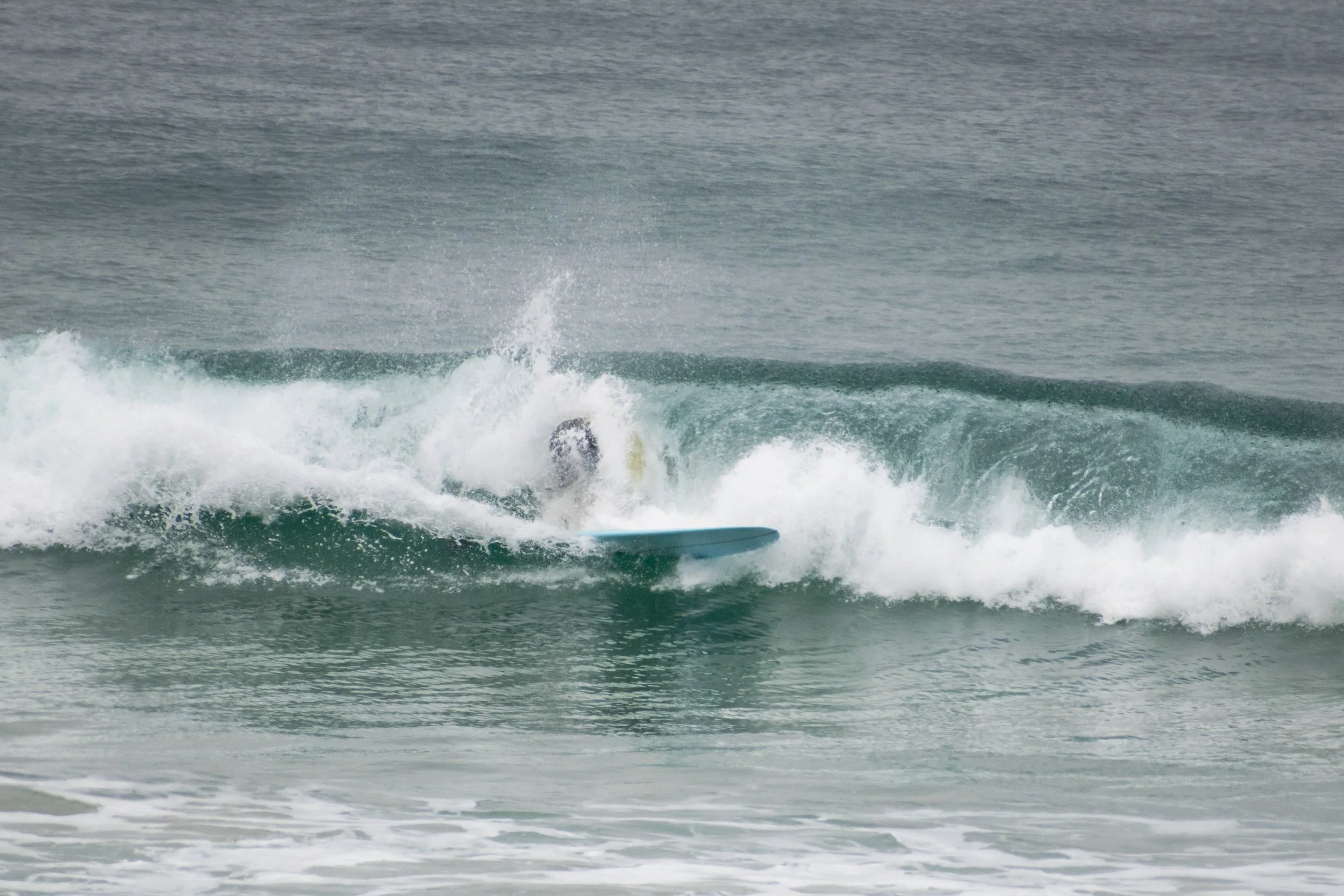 DSC_1207.jpg