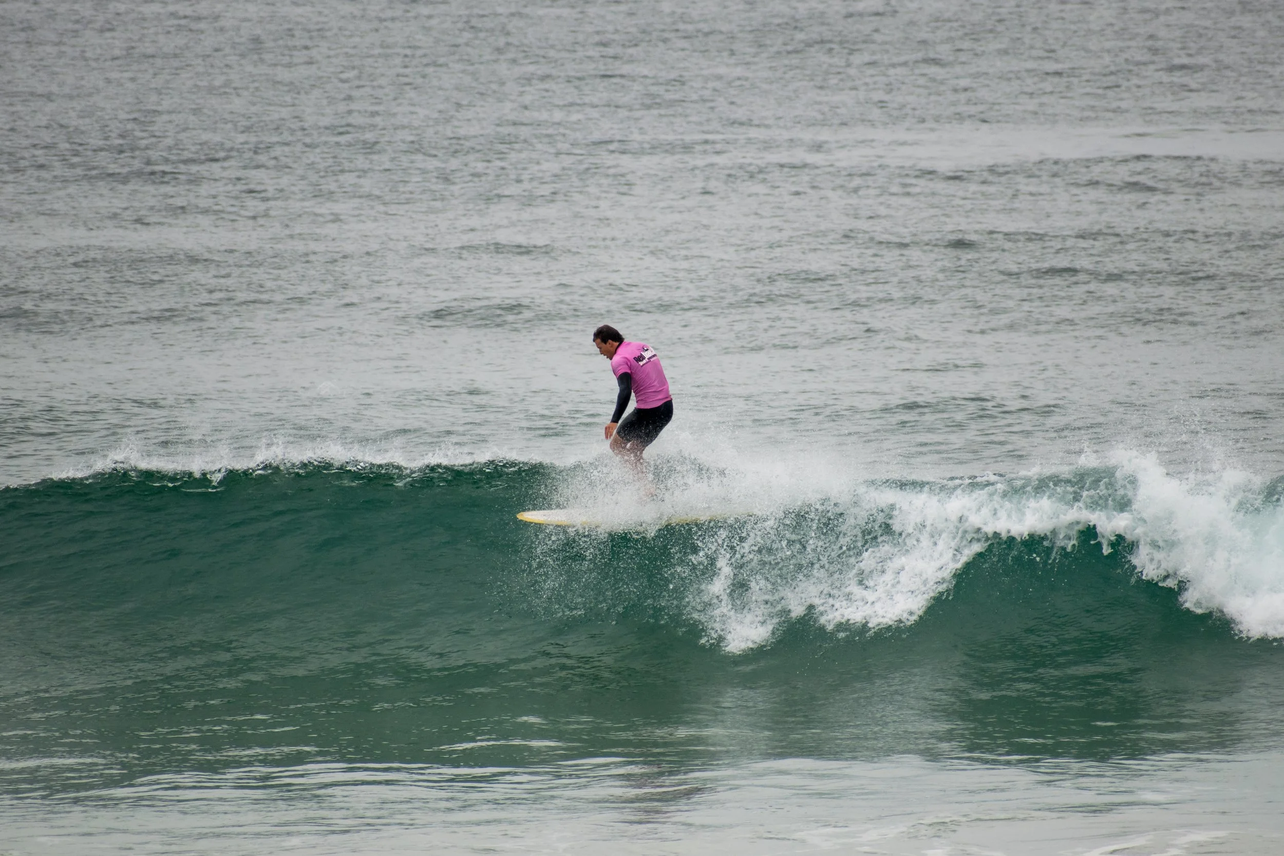 DSC_1265.jpg
