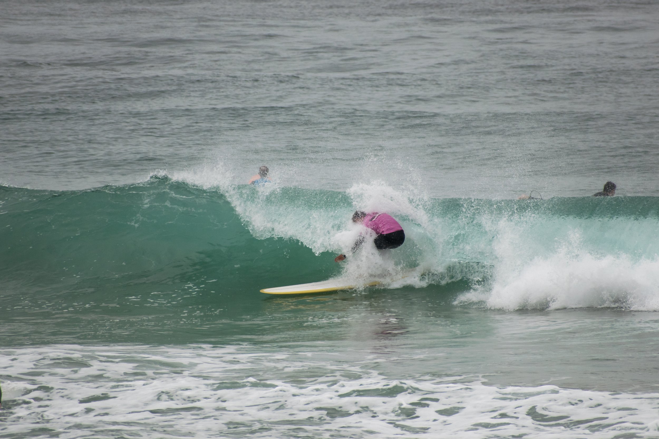 DSC_1268.jpg