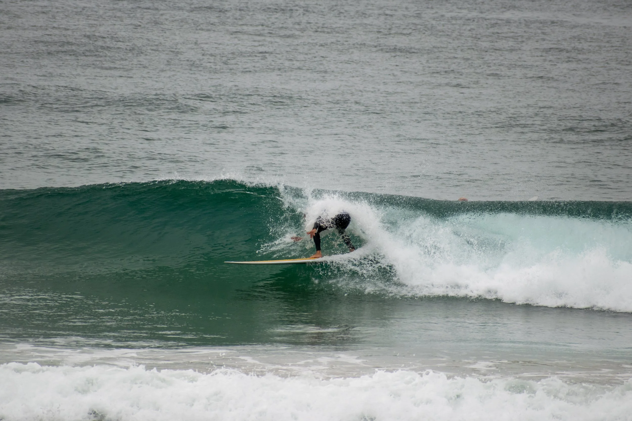 DSC_1278.jpg