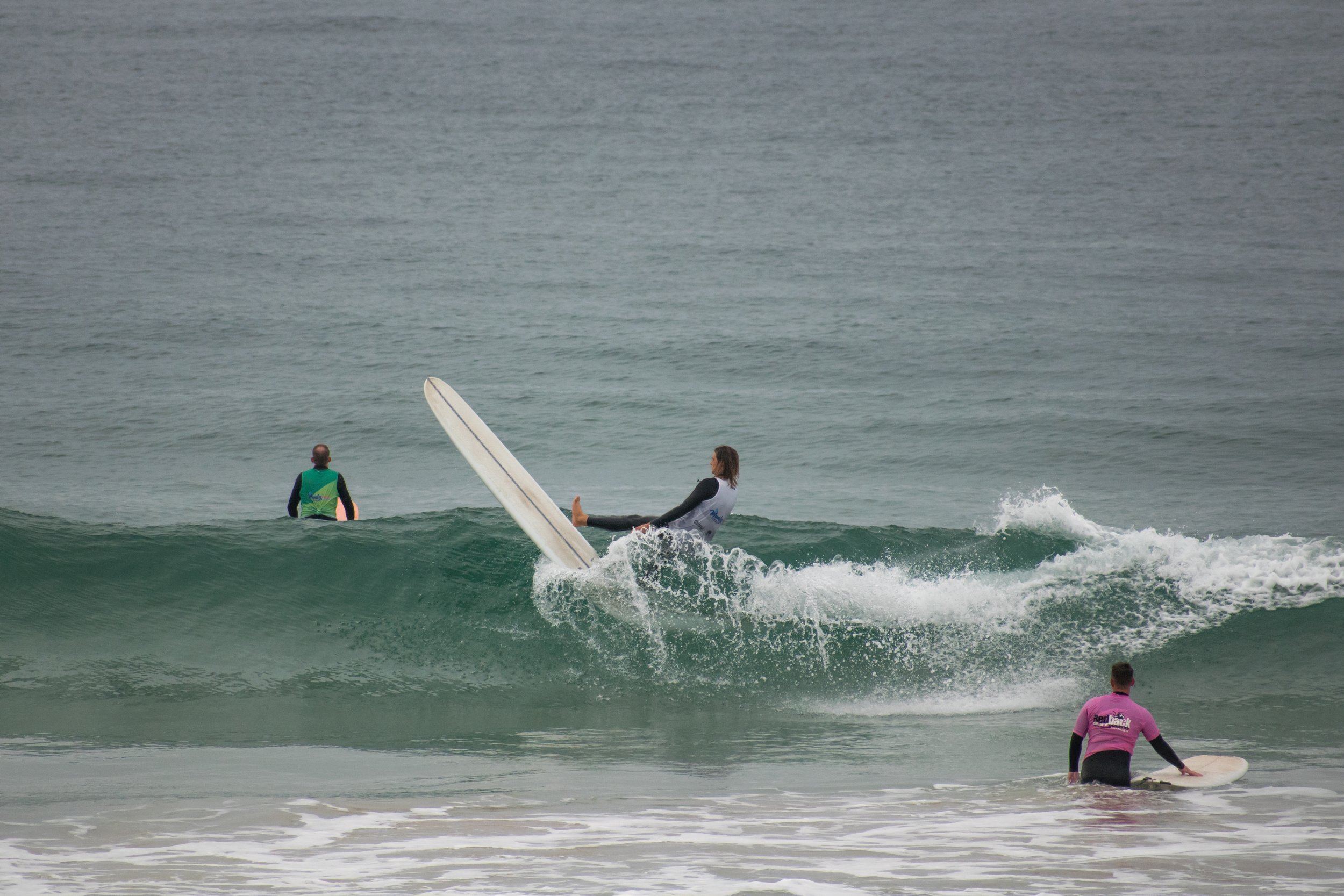 DSC_1355.jpg