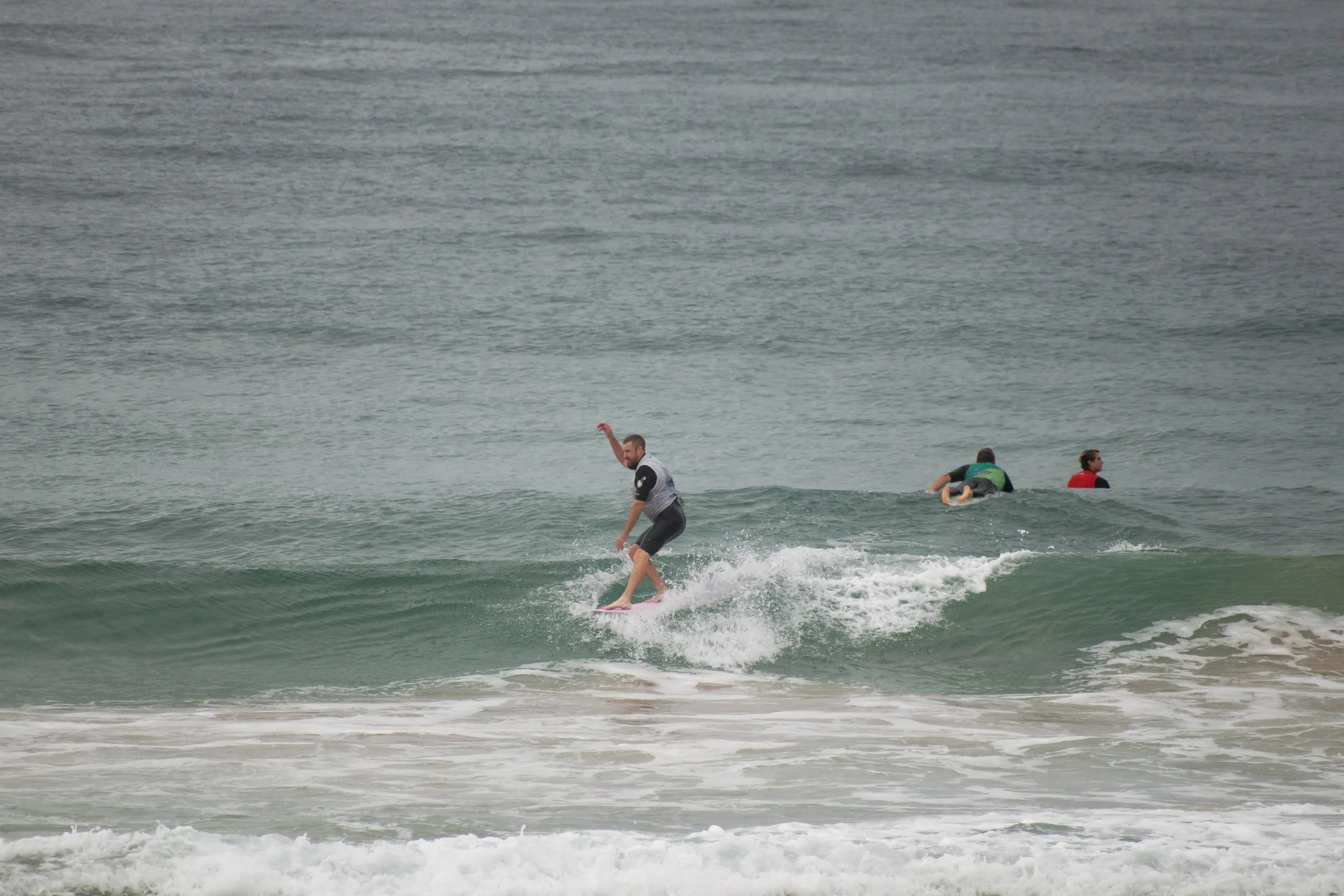 DSC_1530.jpg