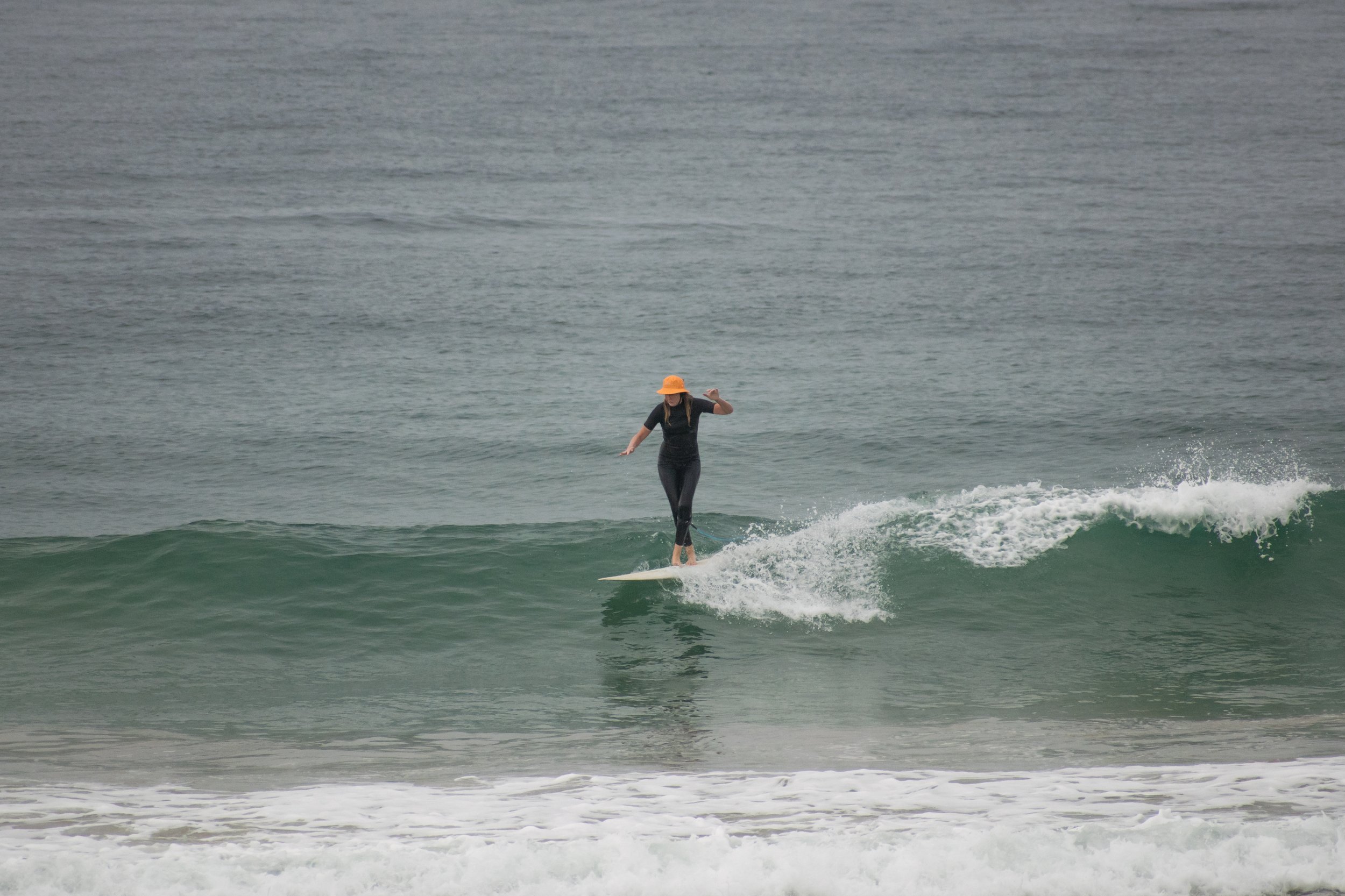 DSC_1469.jpg