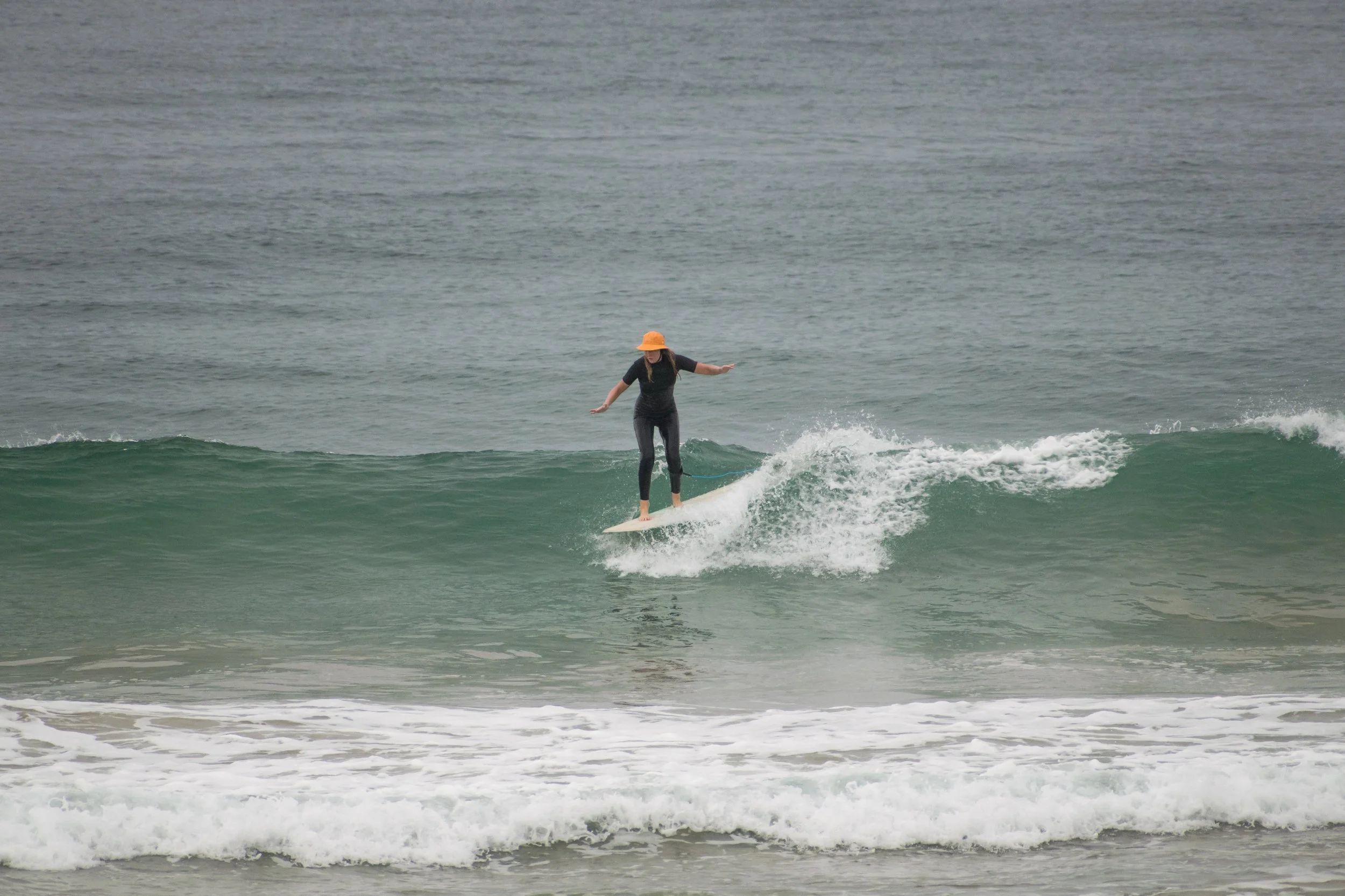 DSC_1473.jpg