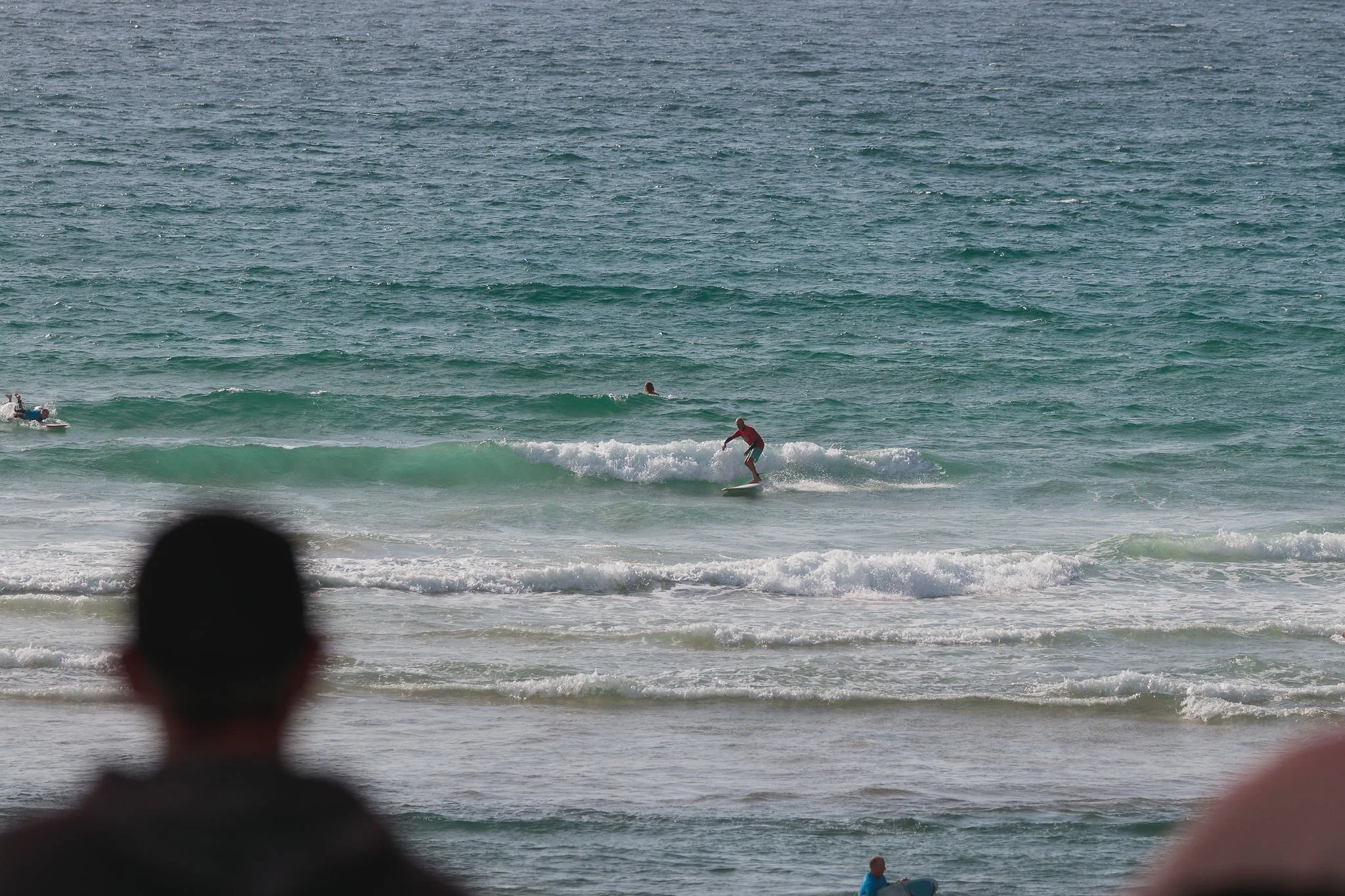 IMG_4564-2048.jpg