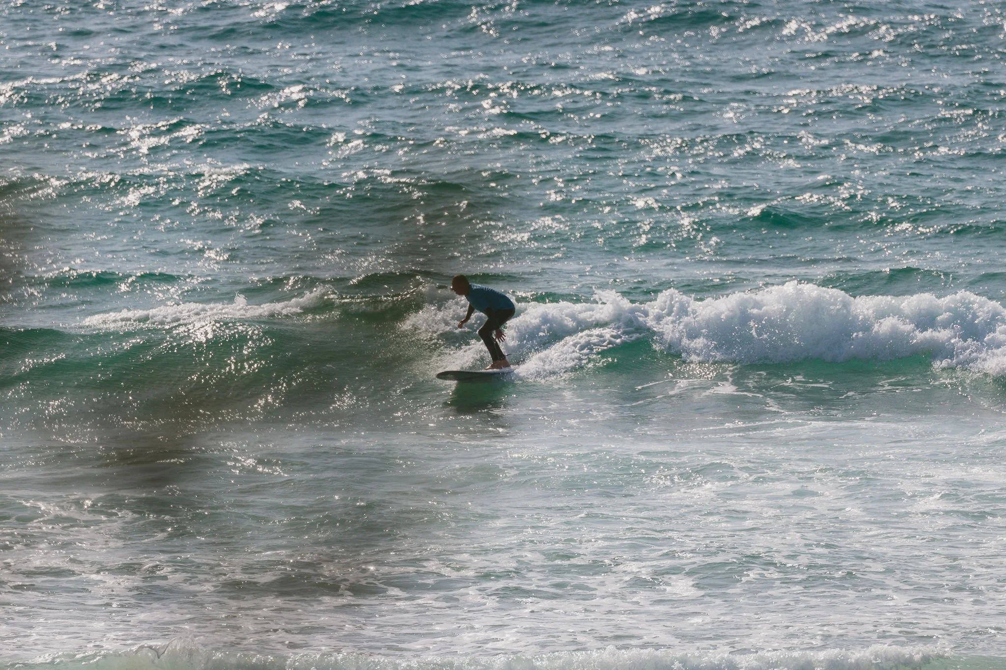 IMG_4619-2048.jpg