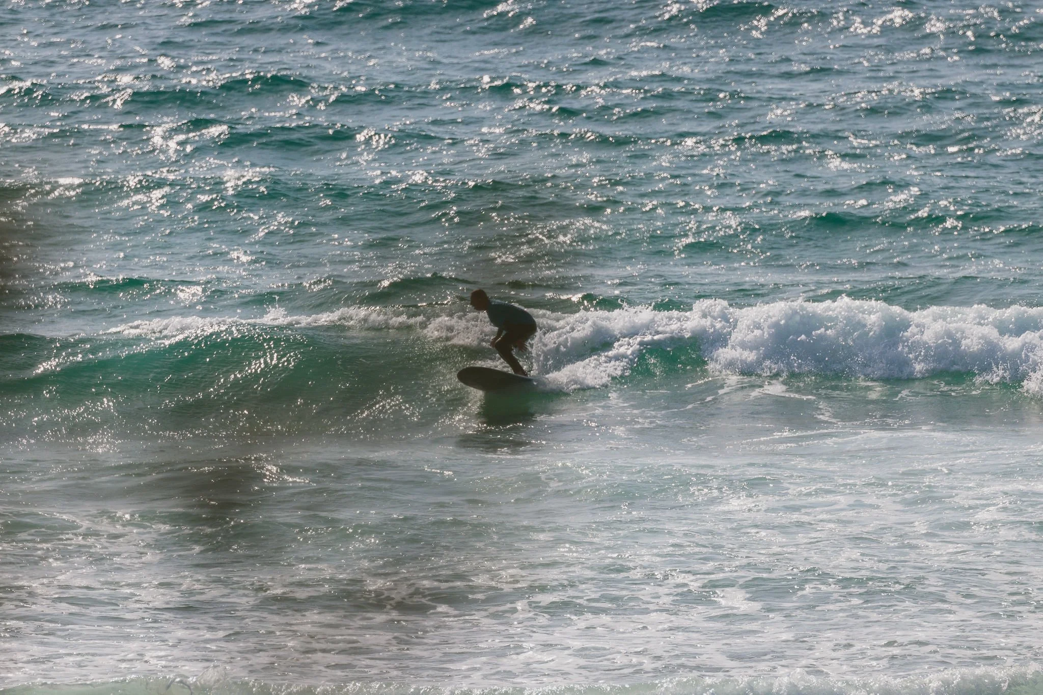 IMG_4620-2048.jpg
