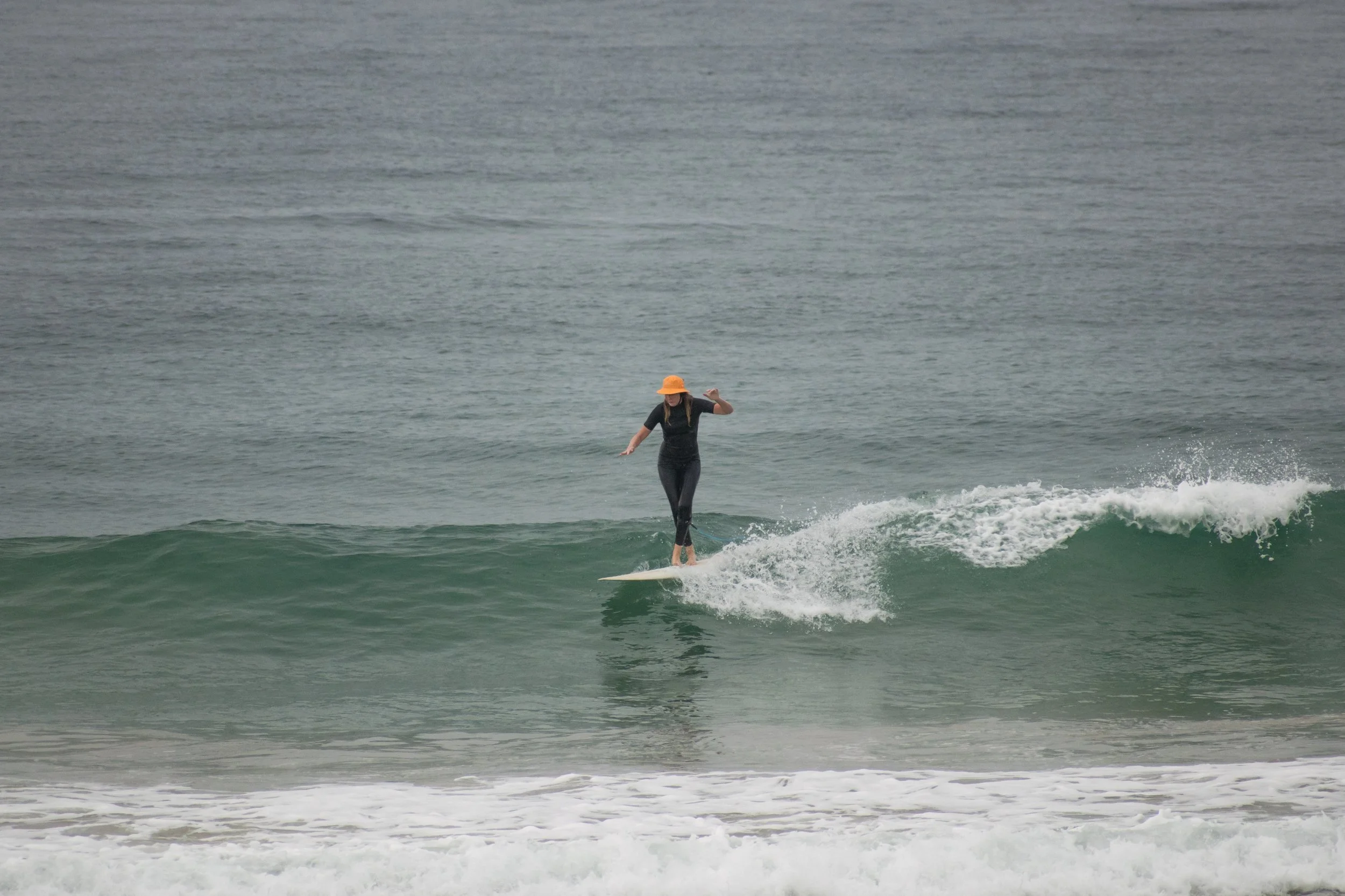 DSC_1469.jpg