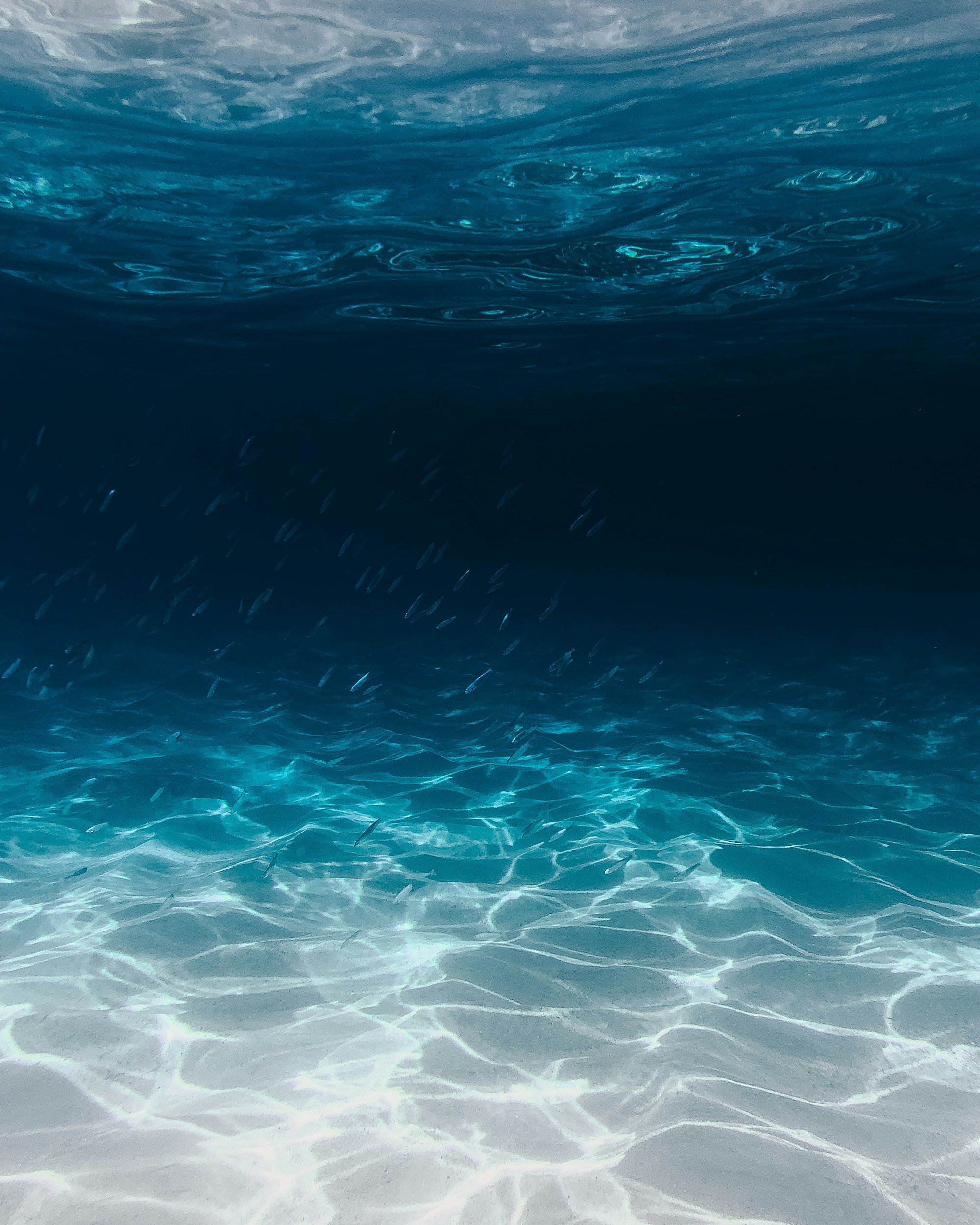 Underwater view of clear blue ocean water with sunlight creating rippled patterns on the sandy bottom. Small fish swimming near the bottom.