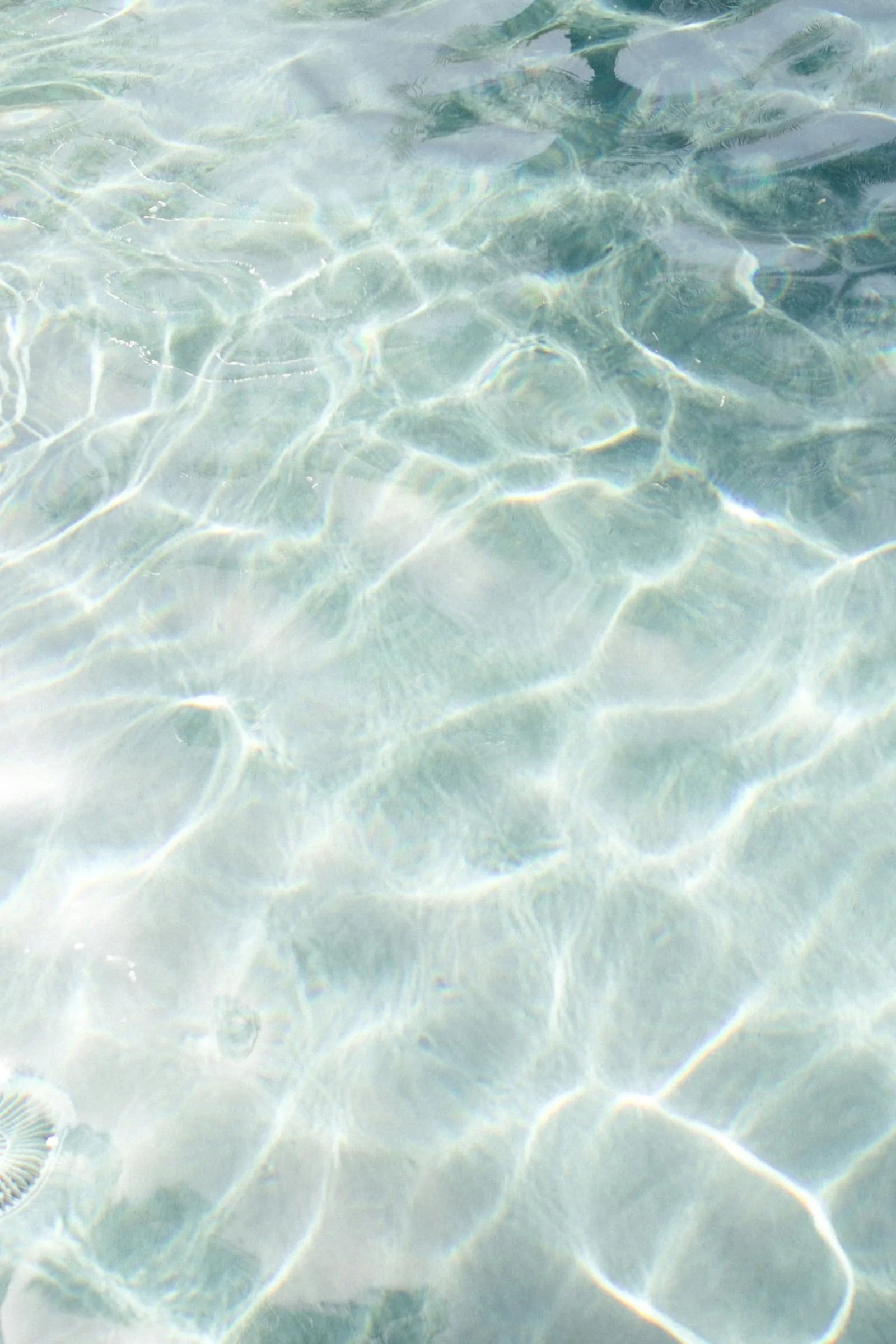 Clear, shallow water with sunlight reflections creating wavy patterns on the sandy bottom.