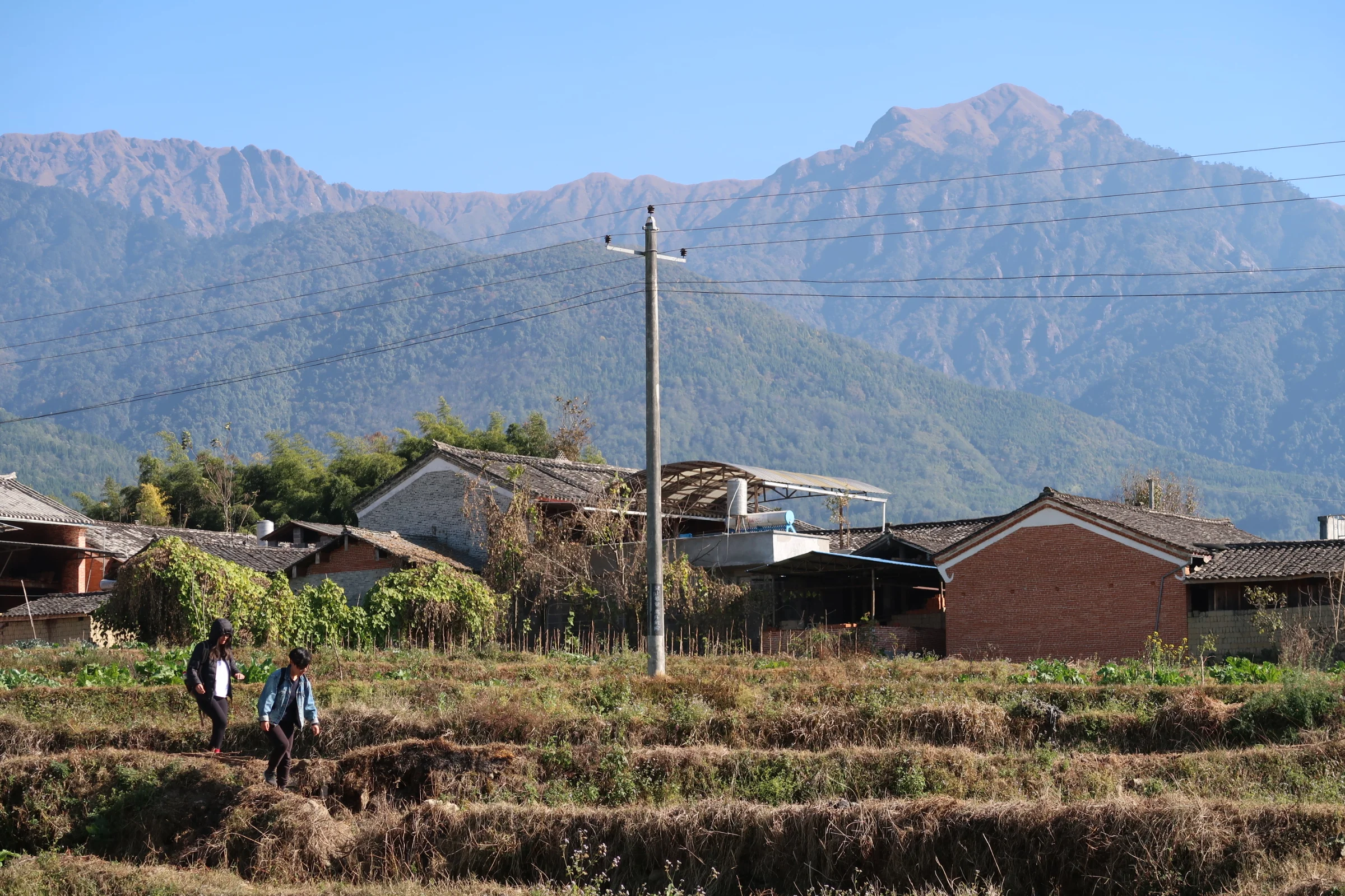  Gaoligongshan in Tengchong, Yunnan. I know you didn’t understand any of that. Don’t pretend like you did. 