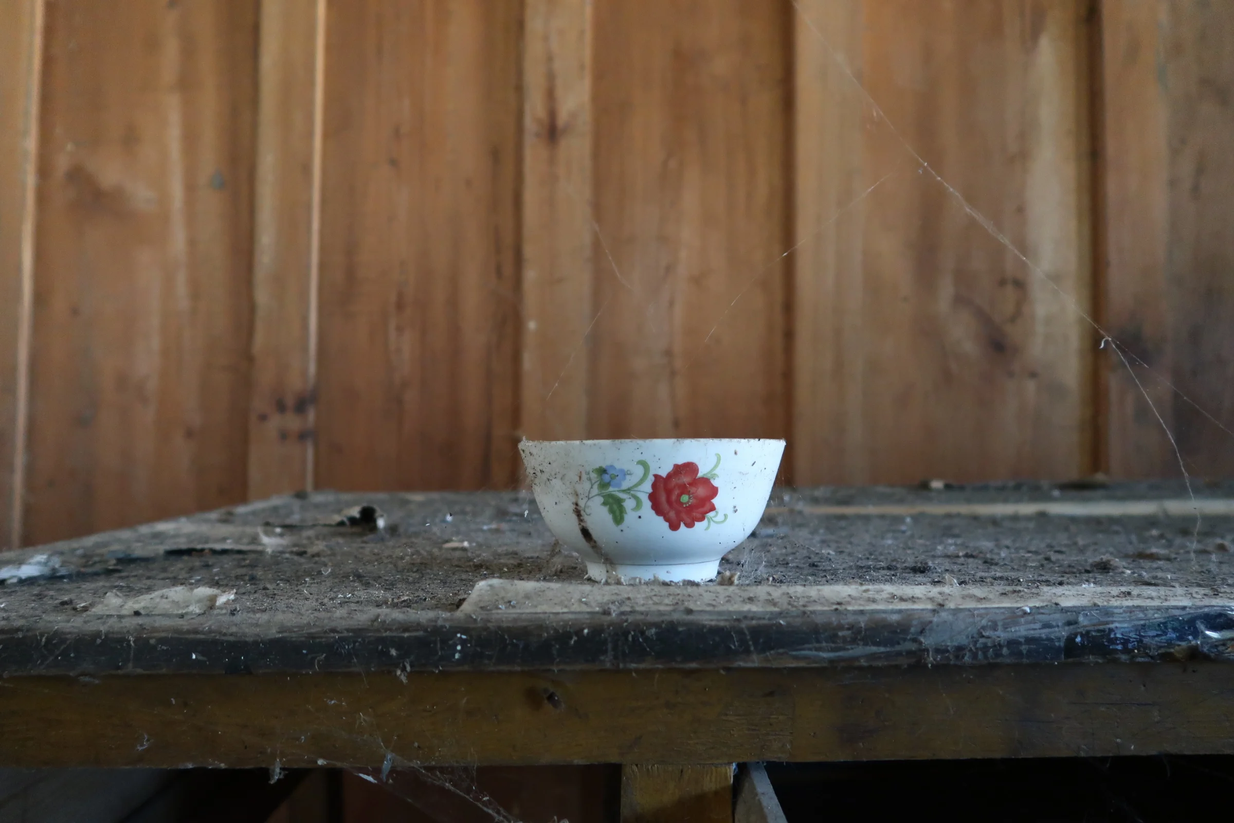  the simple bowl. we must pay homage to this titan of cuisine 